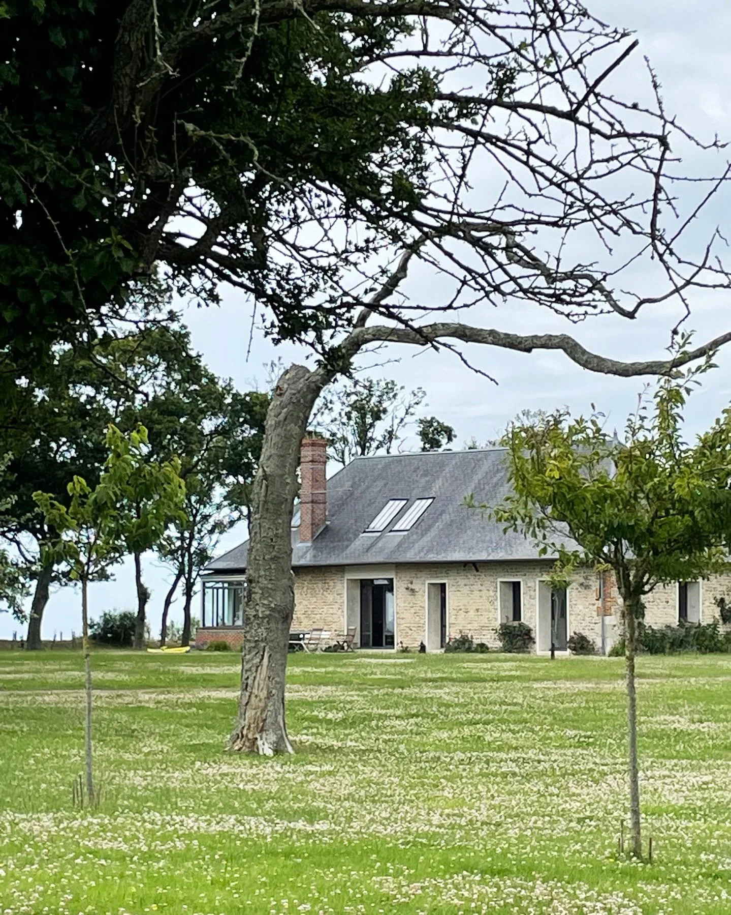 En se promenant sur les falaises d'Etretat #castpmr #patrimoine #fenetredetoit #acier