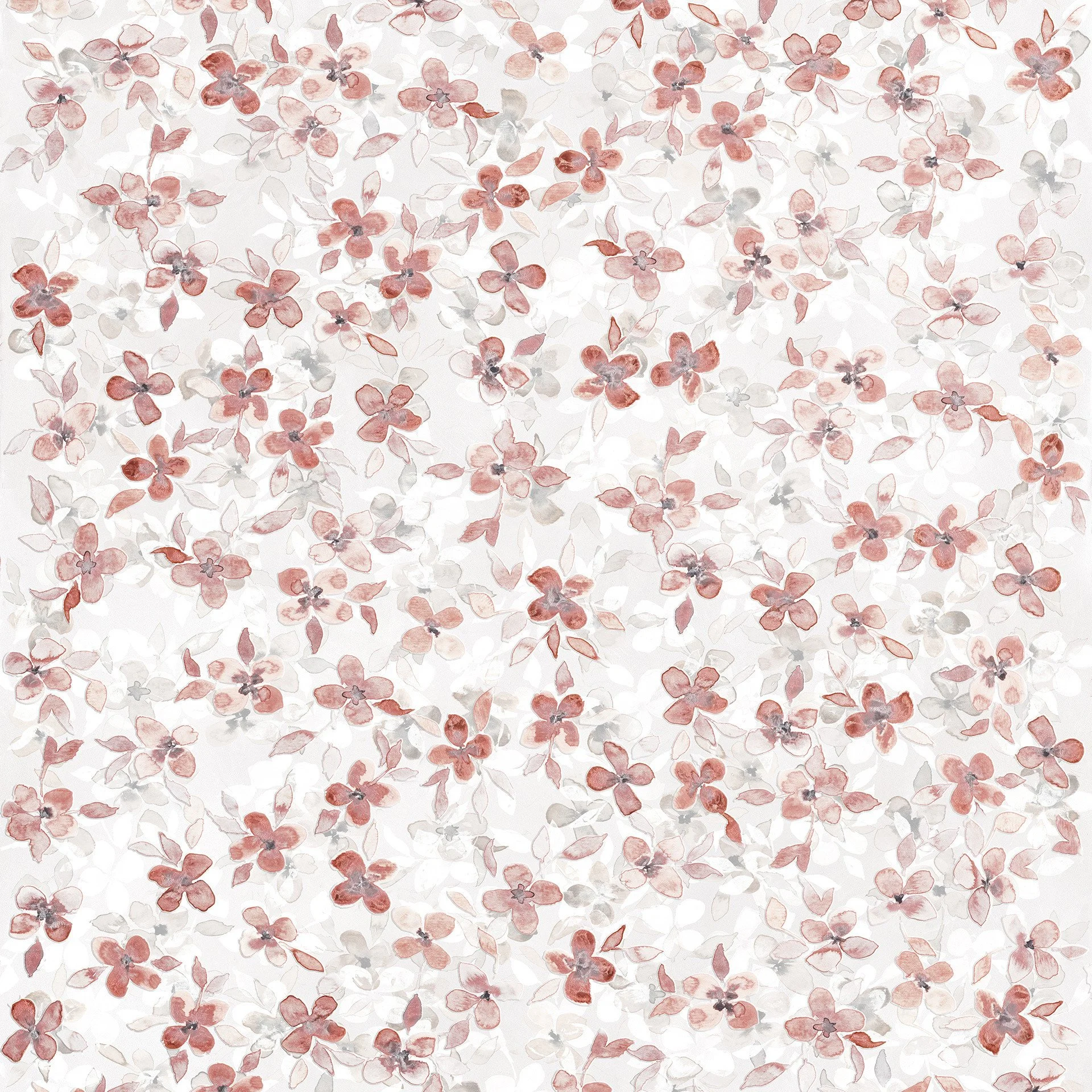 Chamomile Rose