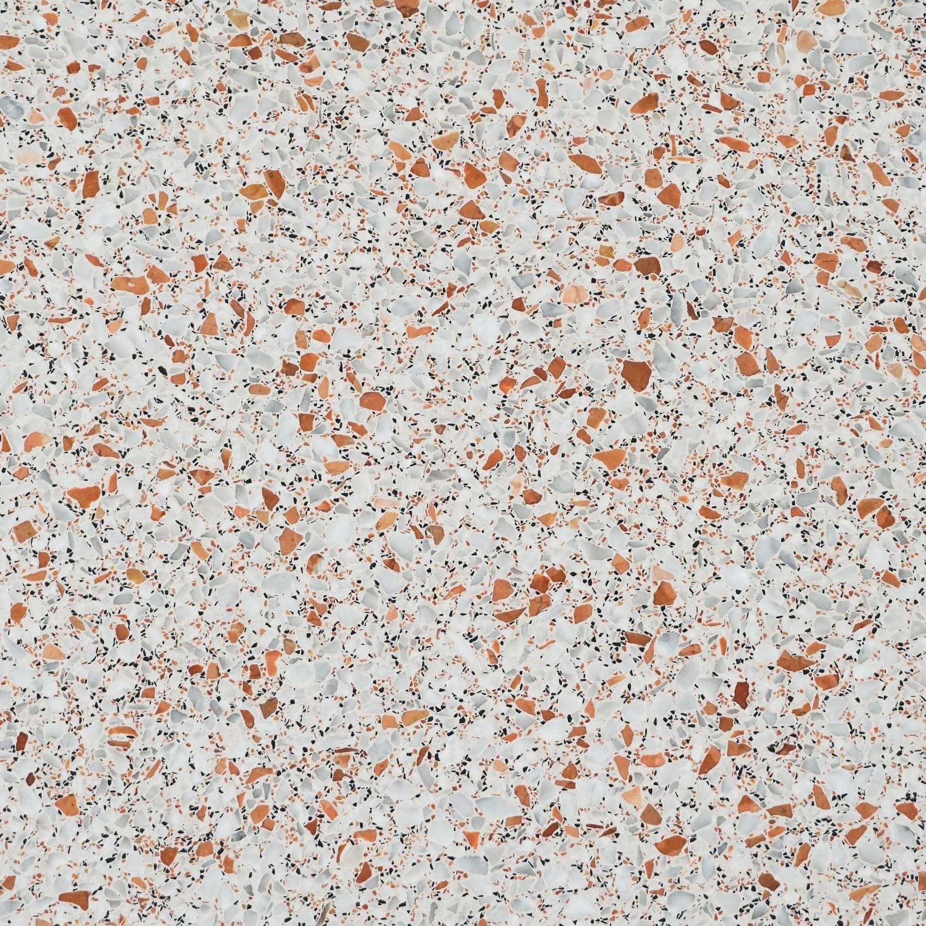 TEC 513