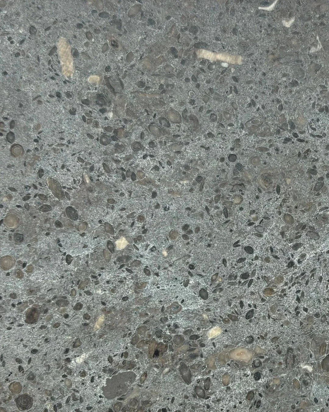 We are dedicated to bringing the finest new materials to you.

So we are proud to announce the latest stone tile in our ever growing collection: meet Grigio Acapulco limestone!

A medium-grained sedimentary limestone with a mid- to dark-grey palette,
