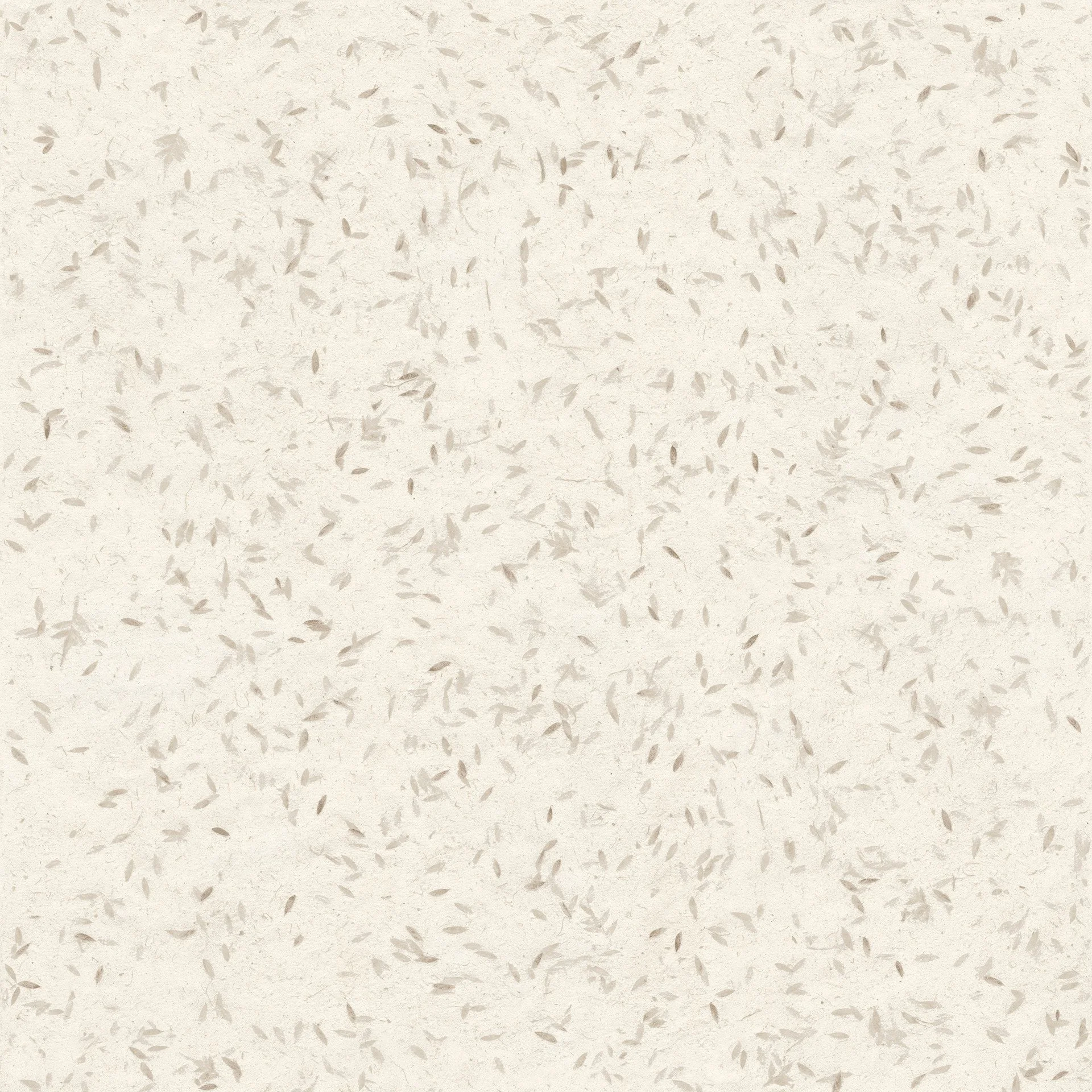 Dispersal Beige