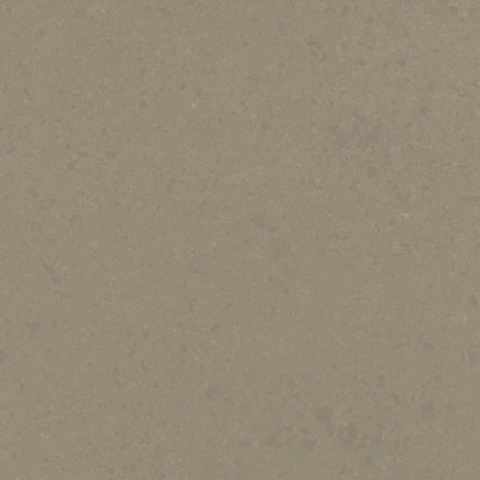 QSA00203