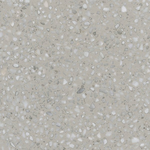 TER 06
