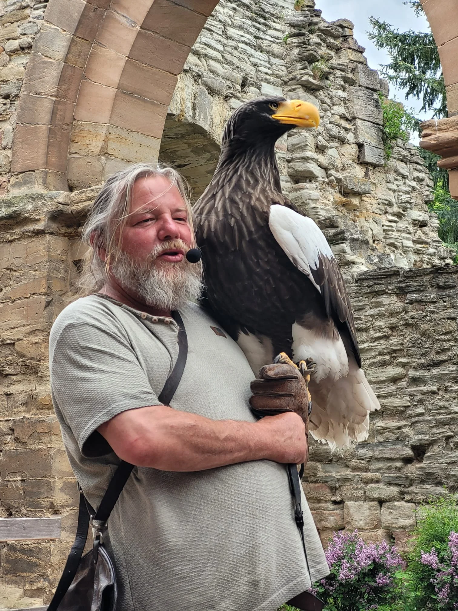 Uhu, Weißkopfseeadler &amp; Polarfalke zu Gast im Kloster