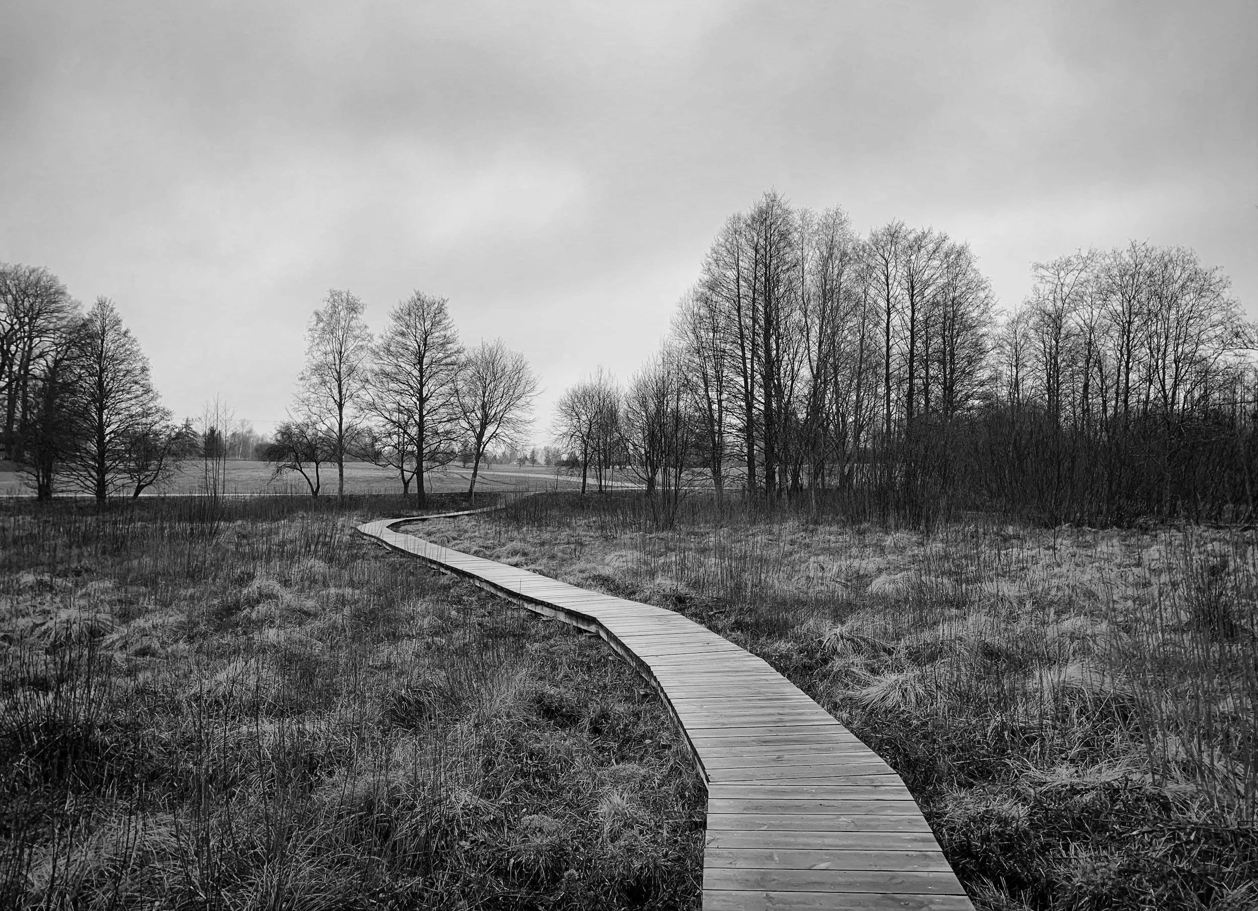 Choosing The Path That Feels True 