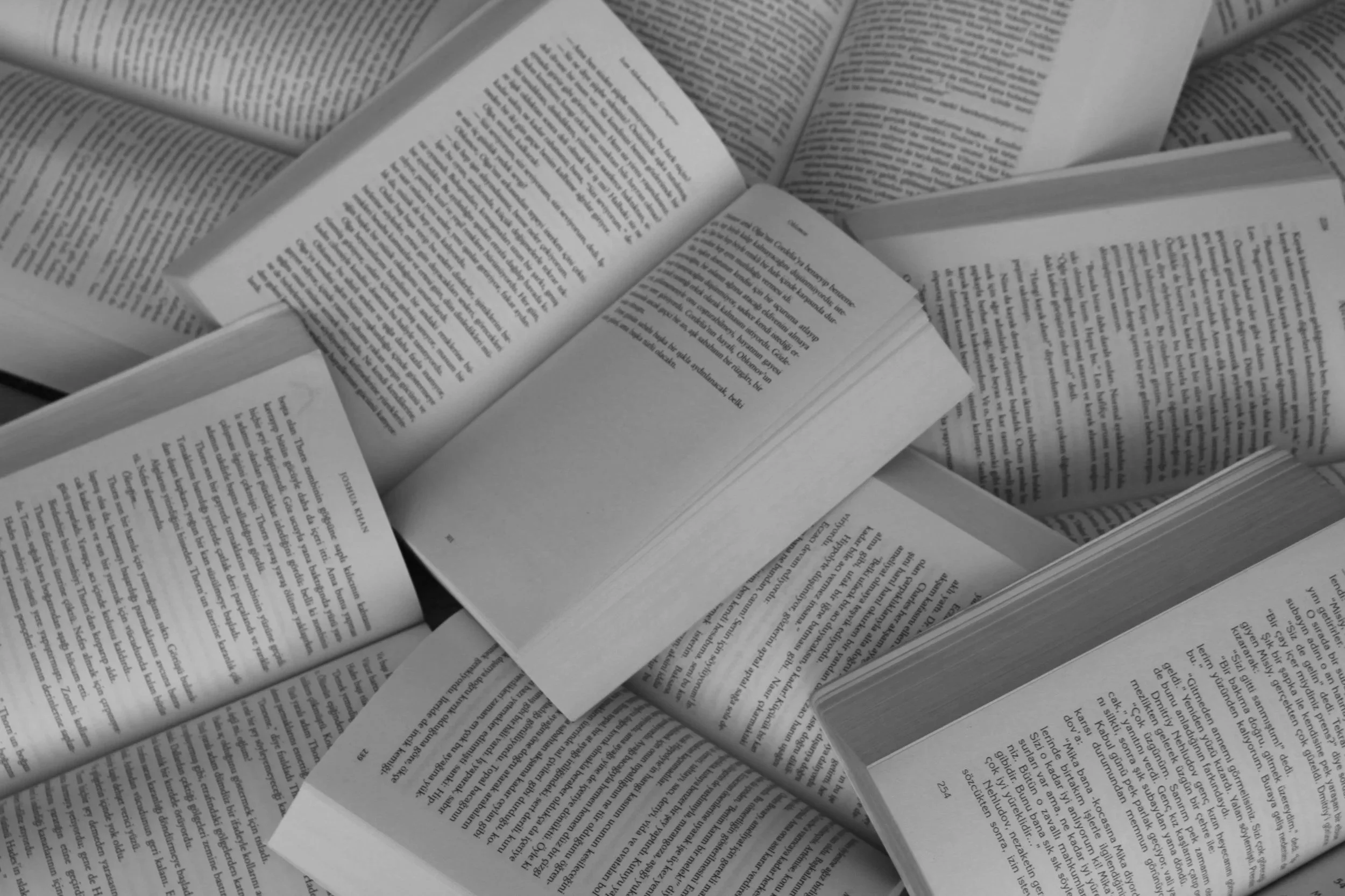 The Stories That Carried Me Through