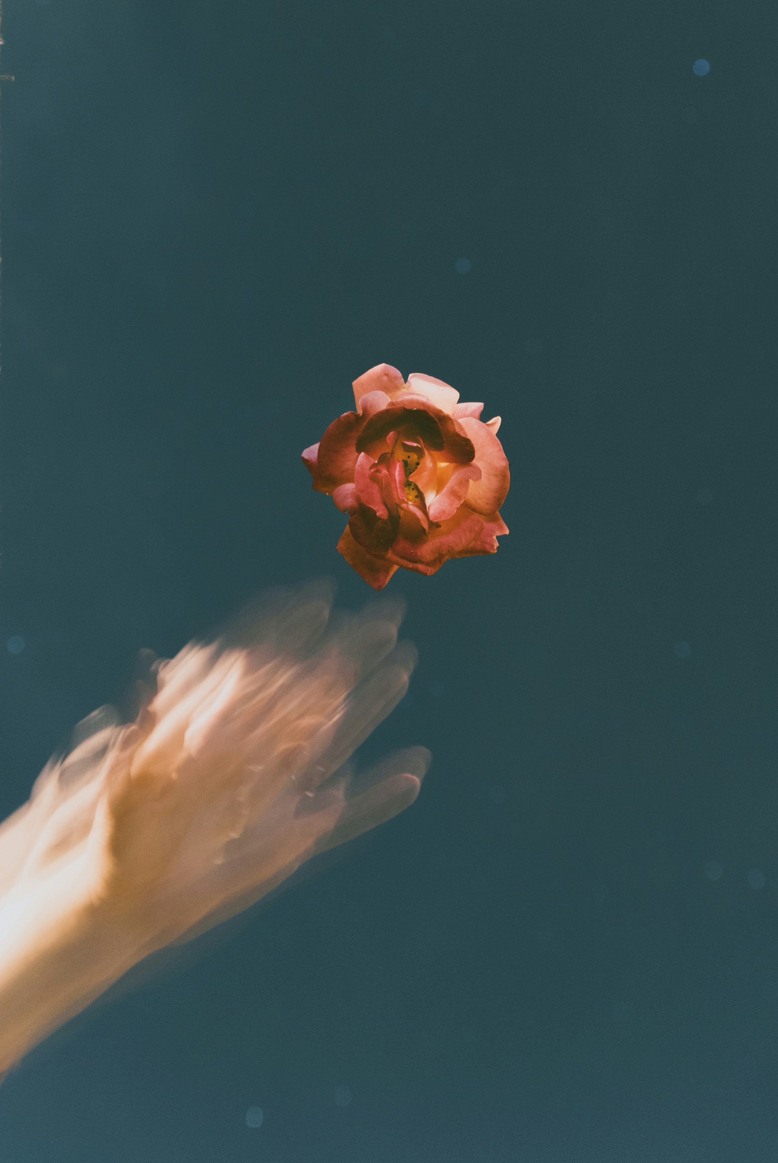 My Favorite Tool for Self-Reflection + Why It’ll Change Your Life