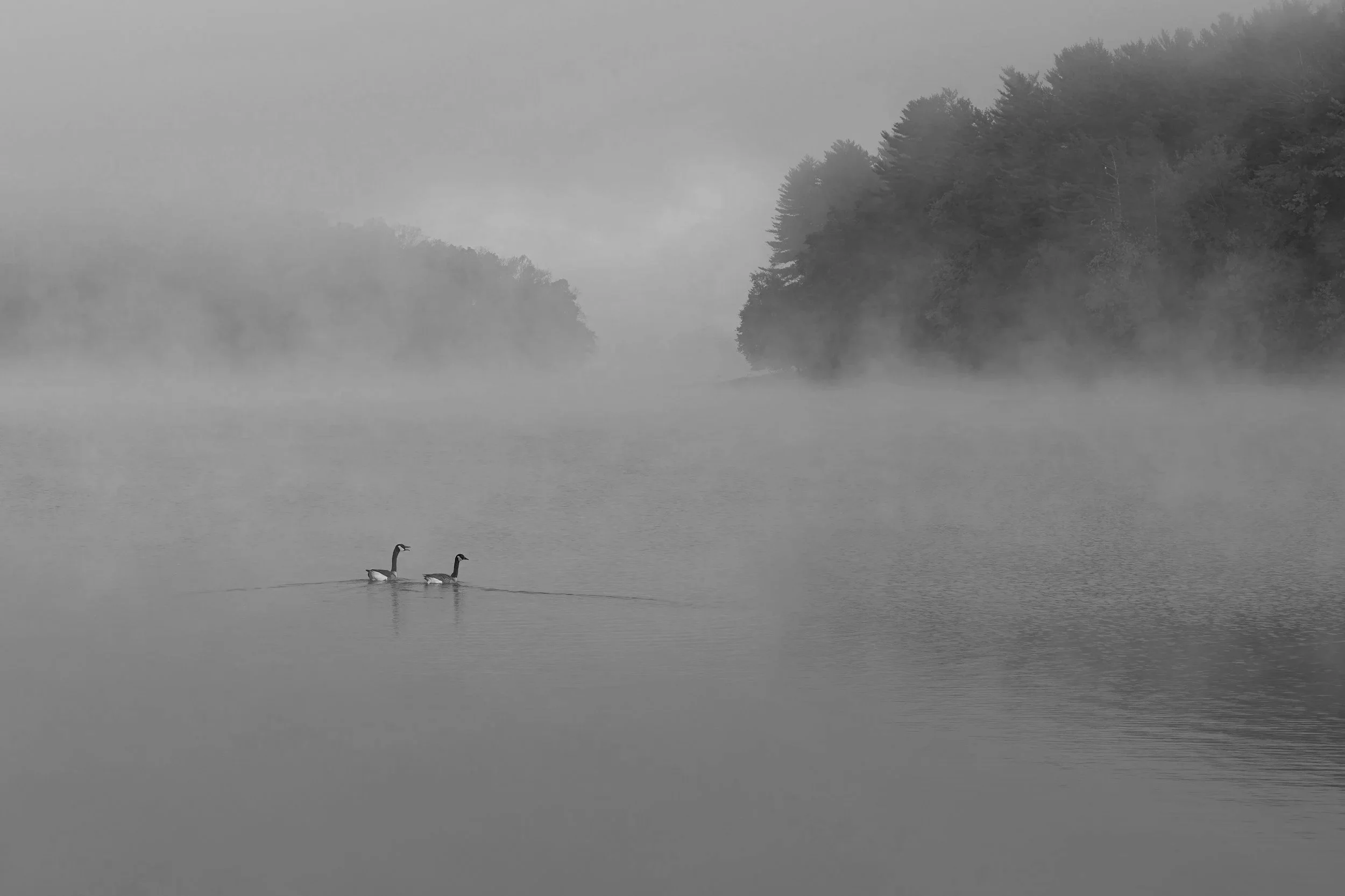 Coming Back To Basics: Using Self-Love Is Your Anchor During Difficult Seasons