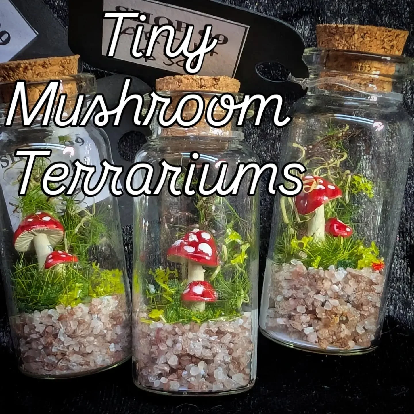A few more little fun-guys 🤭 heading to @vendmarketplace in the morning.

#shoplocalbrisbane #miniatureterrarium #mushrooms #handmade #amazingrarethings