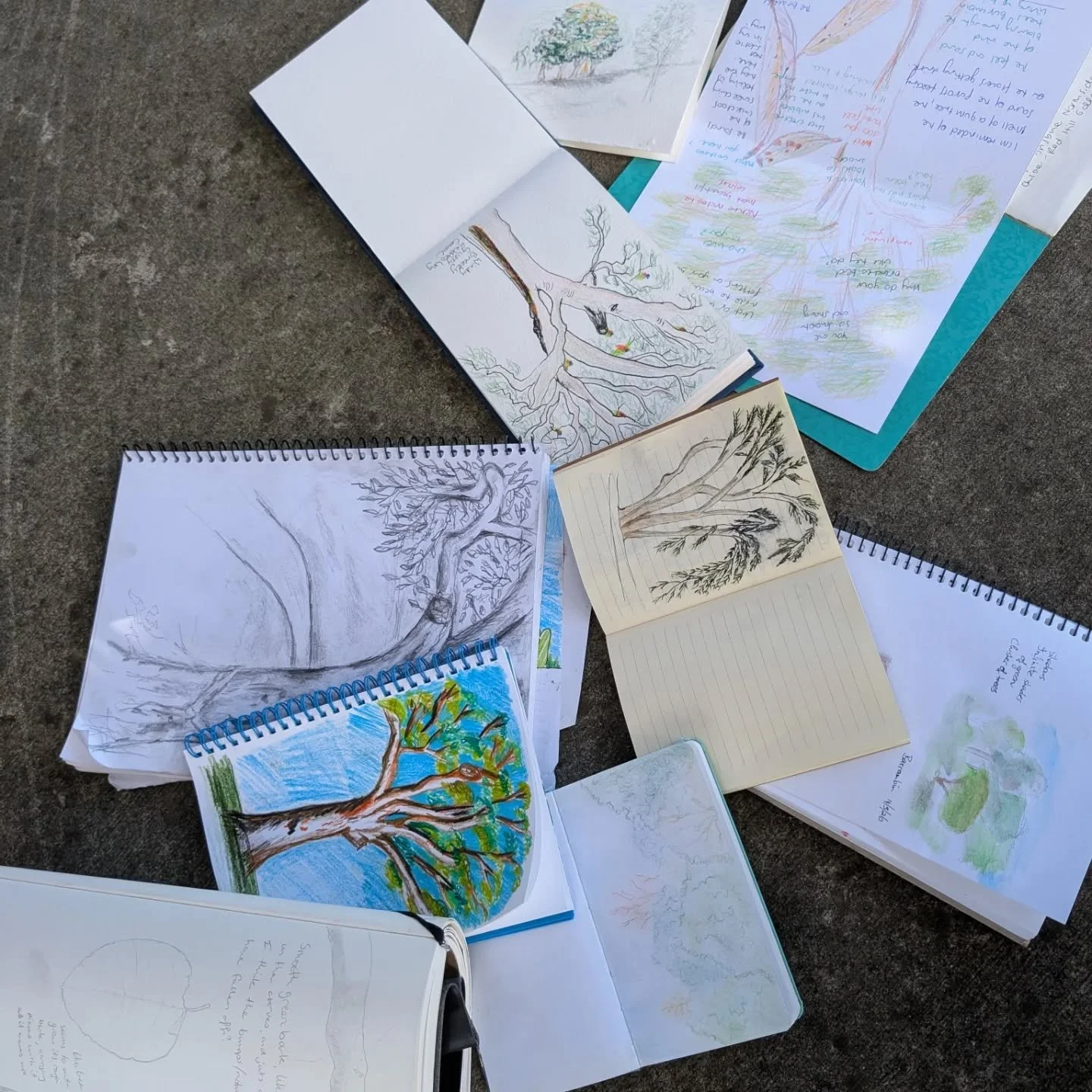 Saturday morning nature journalling ❤️ such a beautiful time at Victoria Park/ Barrambin, a big thank you to @jen_again_withapen and @chloecolour for running the event 😀 

#naturejournaling #brisbaneparks #savevictoriapark #soulnourishing