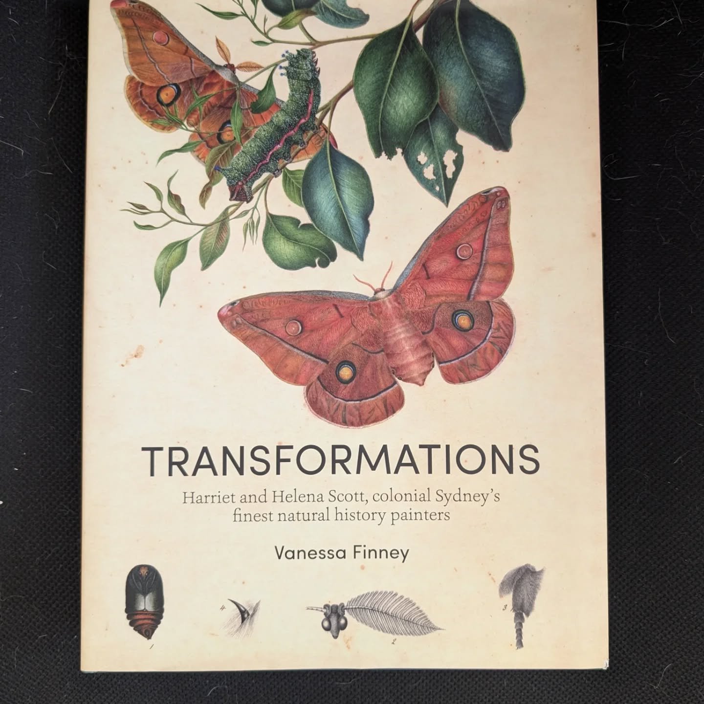 Another piece of inspiration from the @australianmuseum 😊 
Soon I will be embarking on my own journey of discovery, into a world that I have held tight to myself for a long time.
Such amazing rare things await, I hope you will join me 😊

#naturalhi