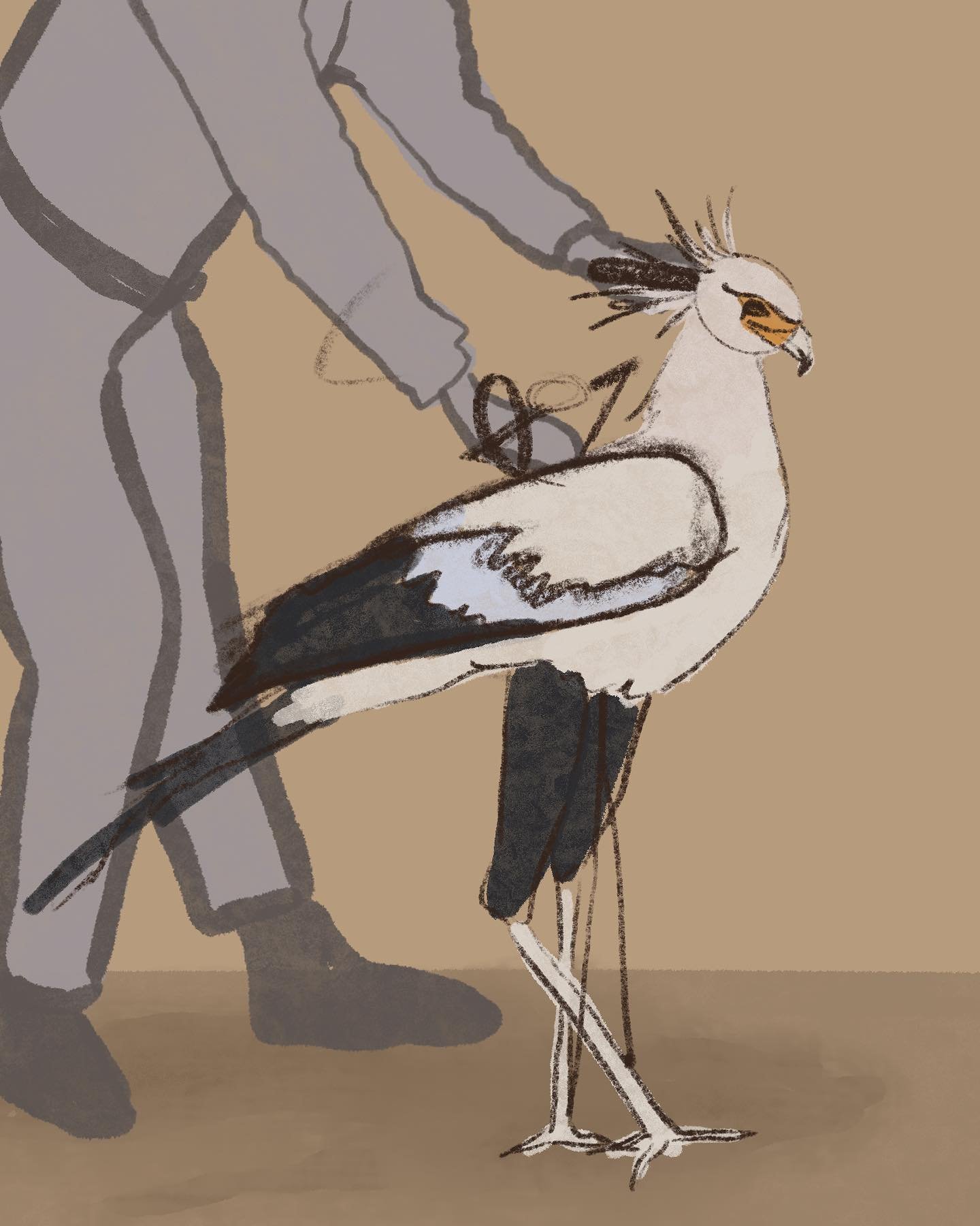 Very rough walkabout puppet design! Always love the secretary bird and thought that it would make a fun little puppet!! 
/
/
/
/
#puppet #puppetdesign #walkaboutpuppet #birdpuppet #puppetmaker #puppetry
