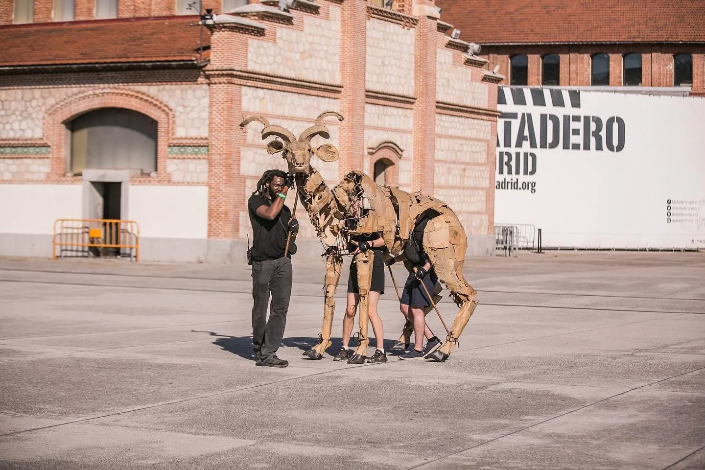 Two weeks, 1 country and 4 performances with the herds. This journey has been so amazing and the most two weeks have flown by so fast!! 
In Cadiz, I had a great time as the front legs of a wildebeest, stampeding through the streets of San Fernando an