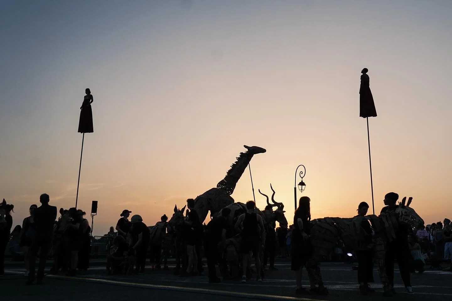 The Herds - Arles 

3 weeks into the herds, and now I&rsquo;m a Zebra with the amazing @almut.schaefer.kubelka and @felix_pare. 

A performance of noise, colour and sweat, stampeding through the streets of Arles. Ending with a breathtaking show by @c