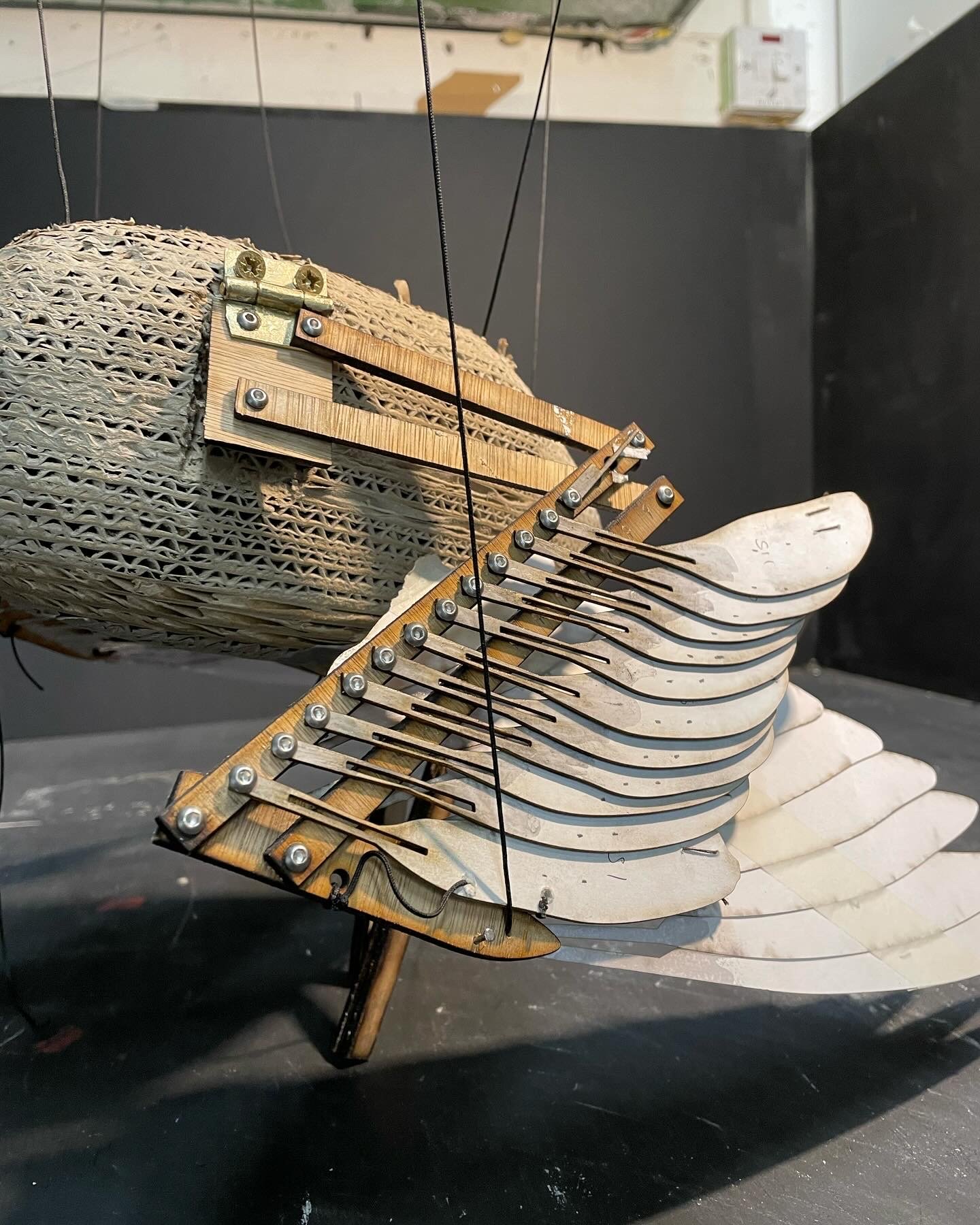 Wing mechanism. When opening, the secondary feathers move with the wing
