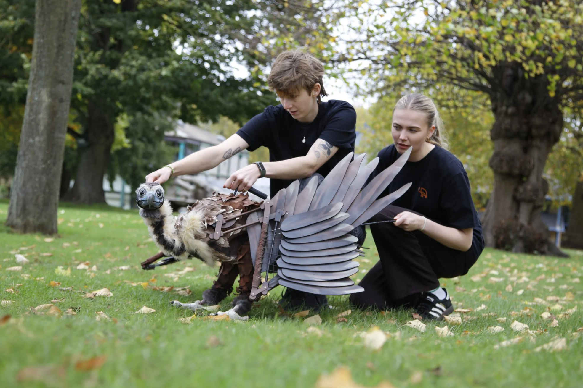Bernard the Cinereous Vulture