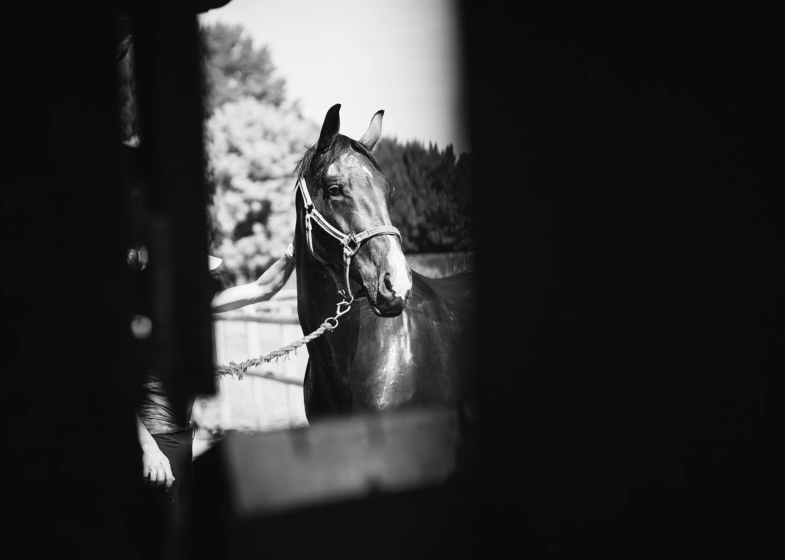 Hannah Milner - Country Lifestyle