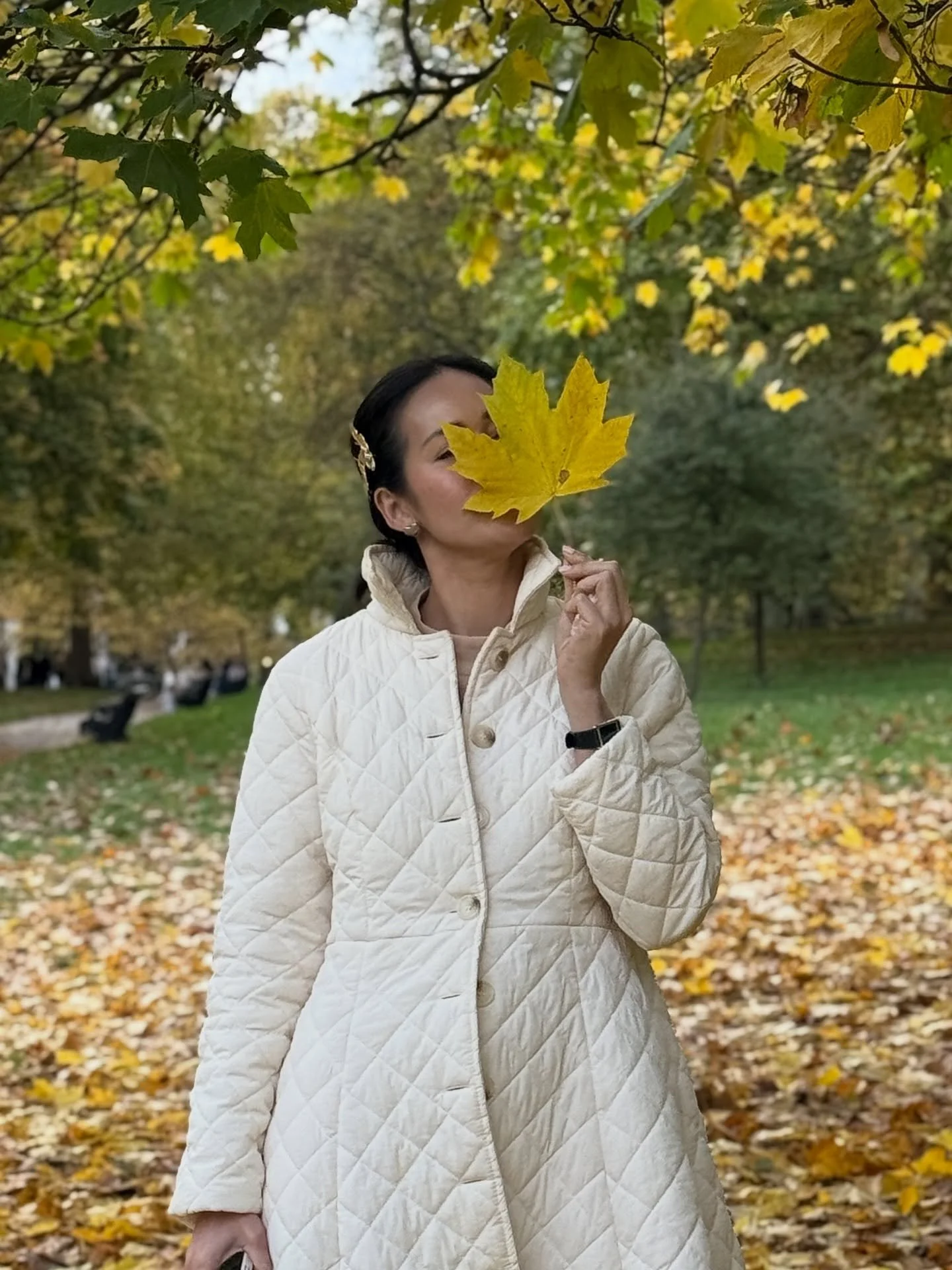 Hyde Park transforms into a picturesque wonderland in autumn, with its trees displaying vibrant shades of red, orange, and golden yellow.

#traveltechexperiences #traveltechinlondon