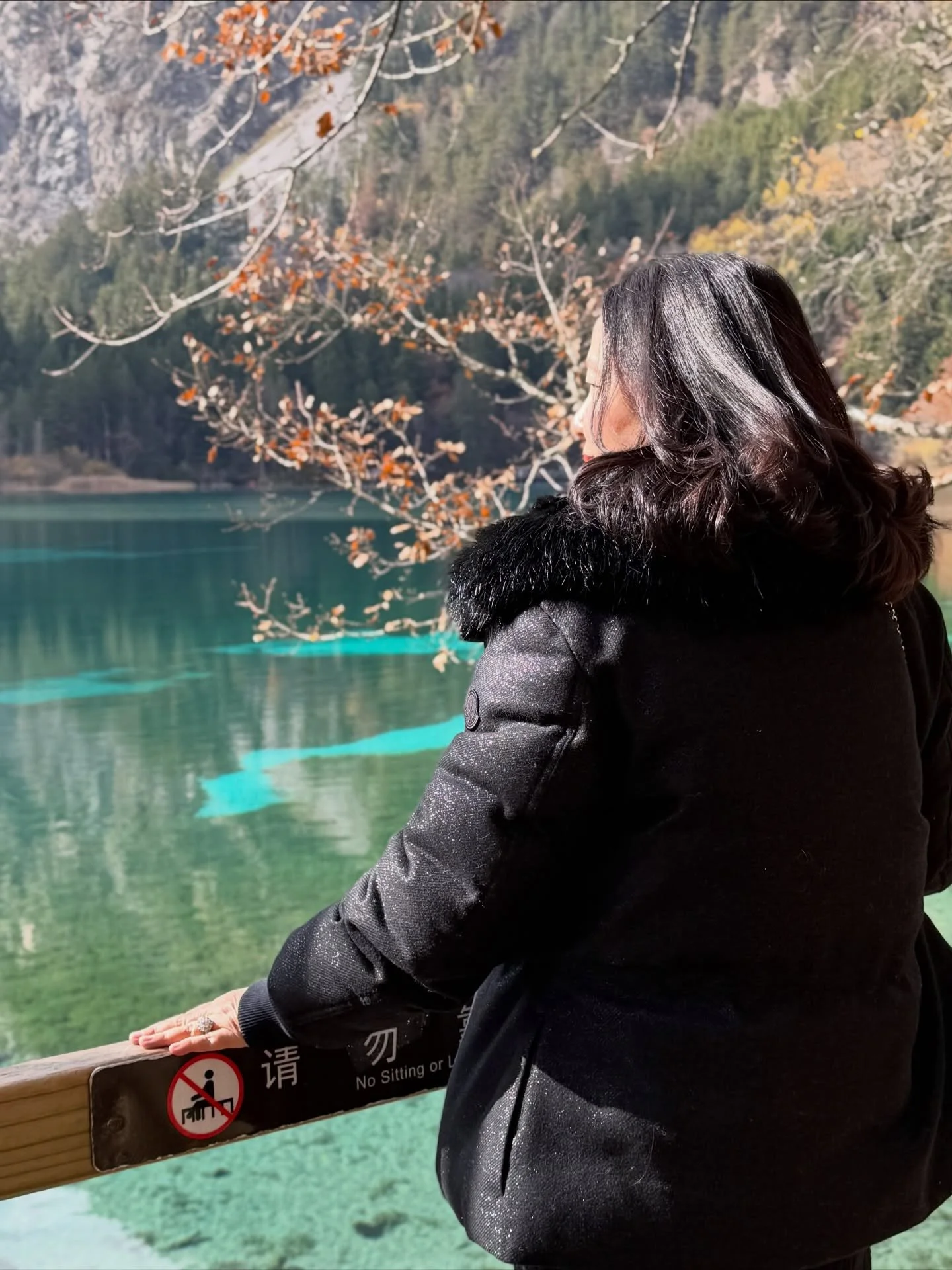 Jiuzhaigou National Park is incredibly popular and renowned globally for its extraordinary natural beauty and unique landscape. It is recognized as a UNESCO World Heritage Site and a World Biosphere Reserve.  Today over 42000 visitors visited the par