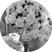 unnamed (2).png