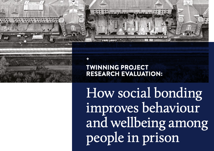 Twinning Project evaluation report