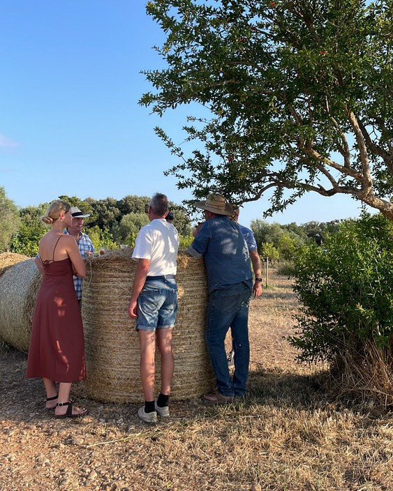 Open farm tour &amp; tasting - every Wednesday 

A stroll through the orchard, a sip of Amarg&eacute;ro where the oranges were picked, and a generous tasting of our wines, vinegars, jams and seasonal bites, all made right here.

🍊 Starts 6pm &middot