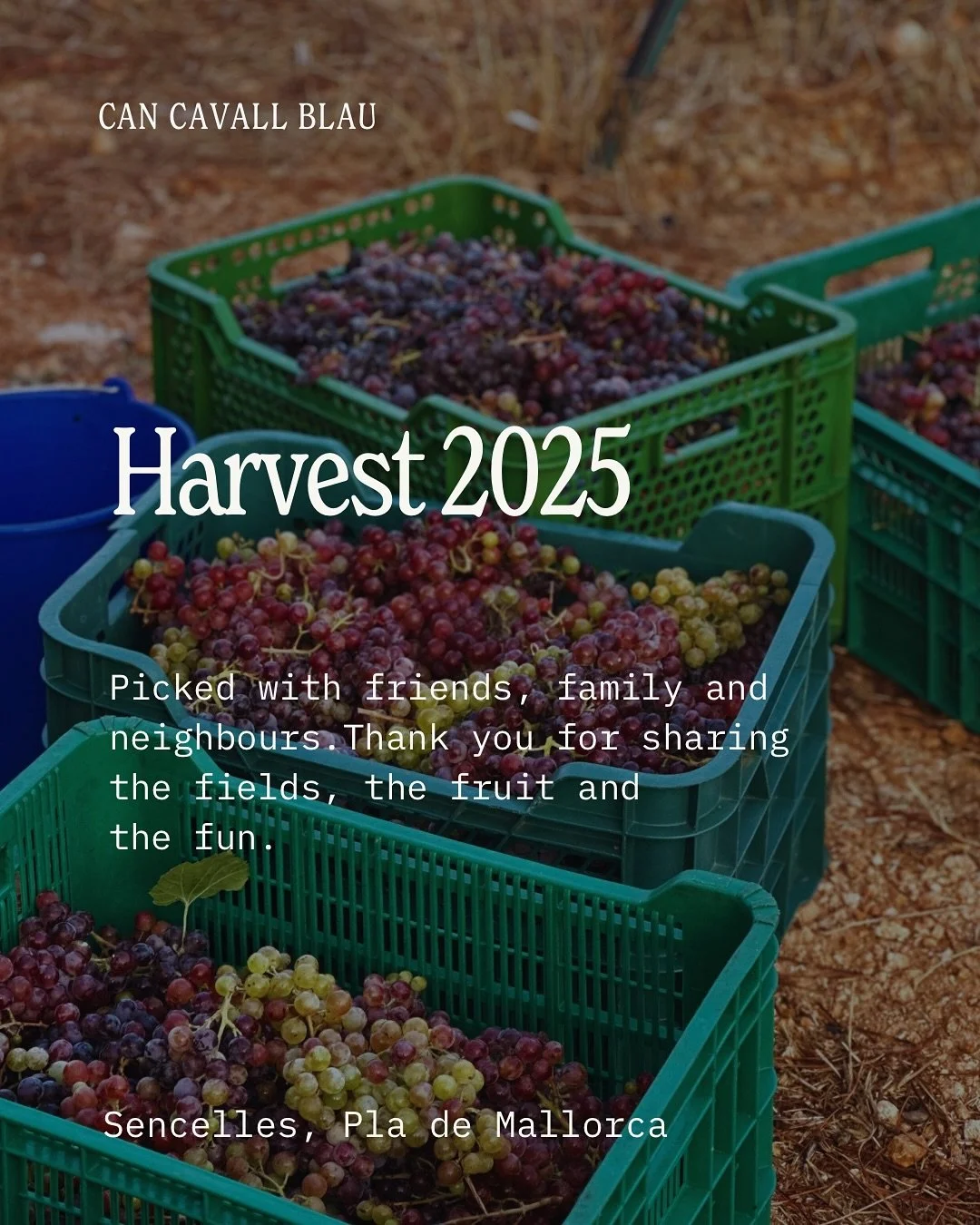 This years harvest was all about people. Friends, family, neighbours - you filled the fields with energy and the tables with laughter. Three harvests later were left with full baskets of grapes and hearts full. 

Thank you for being part of it. Now w