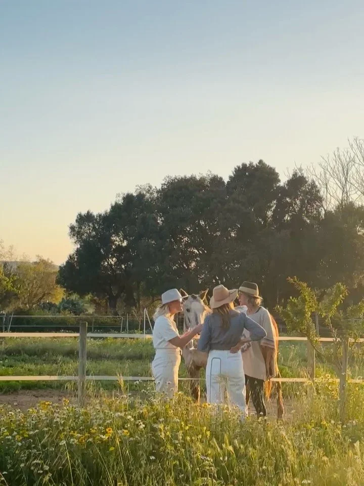 Todas las cosas buenas de la vida empiezan con A -
Amigos, Aperitivo, Amarg&eacute;ro&hellip; y Atardeceres en Mallorca 🧡

#AmargeroHour #AperitivoMallorca #CanCavallBlau #Mallorca