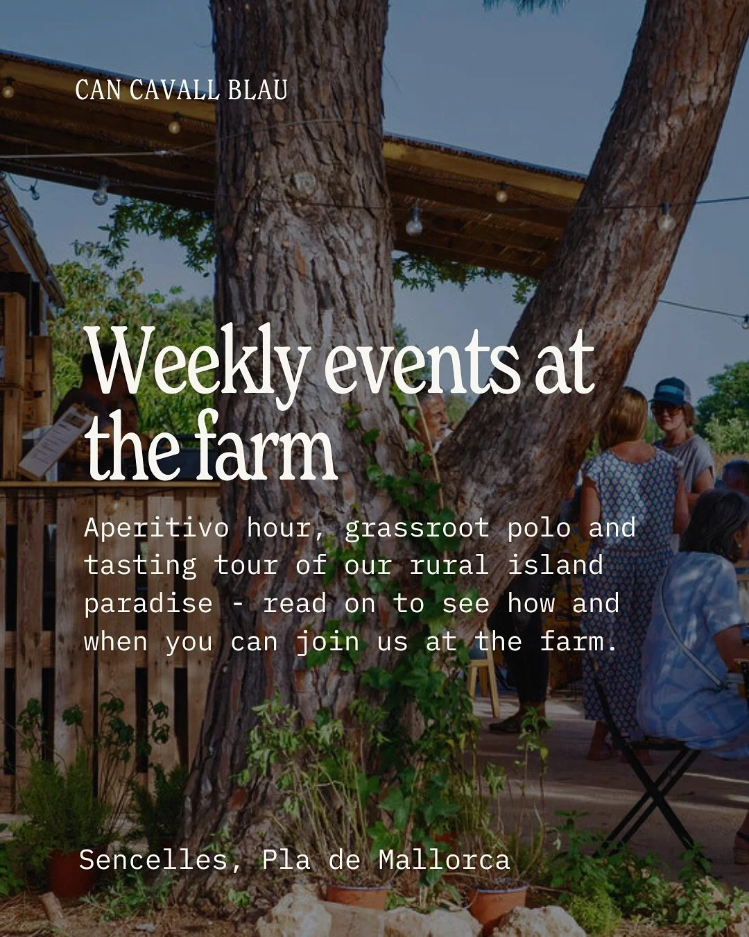 There&rsquo;s always something happening at the farm from aperitivo on Sundays to tastings and walks midweek. Each gathering offers a glimpse into life on our land, shared with those in the know.

Find your moment to join us 🍹