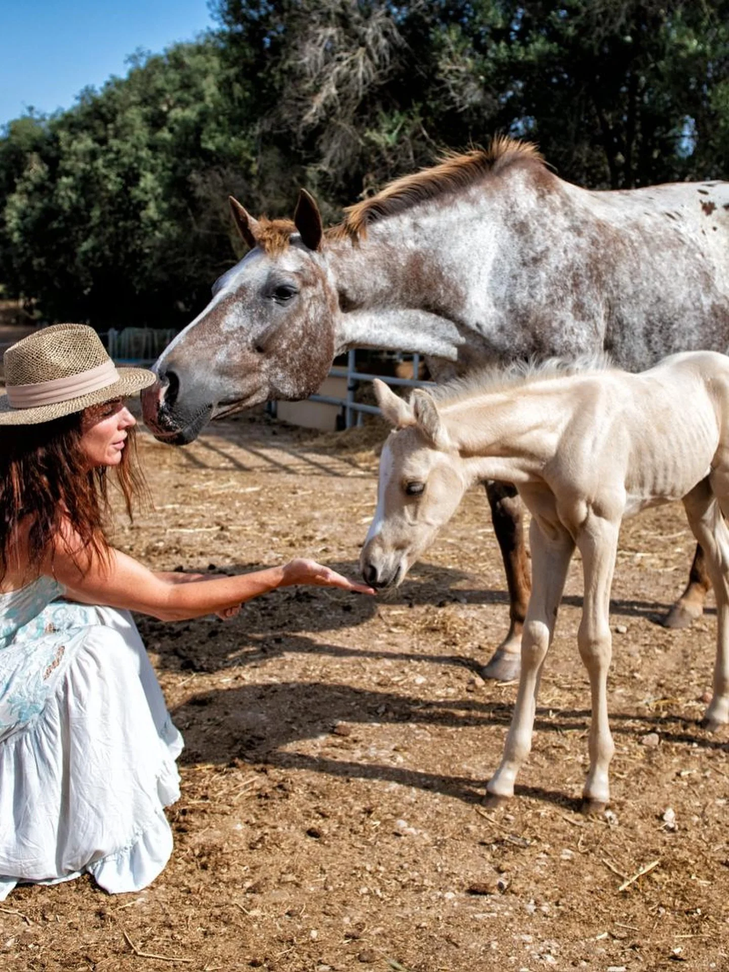She&rsquo;s not that little anymore! Our baby Catalina is growing fast - full of spirit, curiosity and mischief around the farm.

Before life here in Mallorca, we were already deep in the world of polo, breeding and training horses since the early 20
