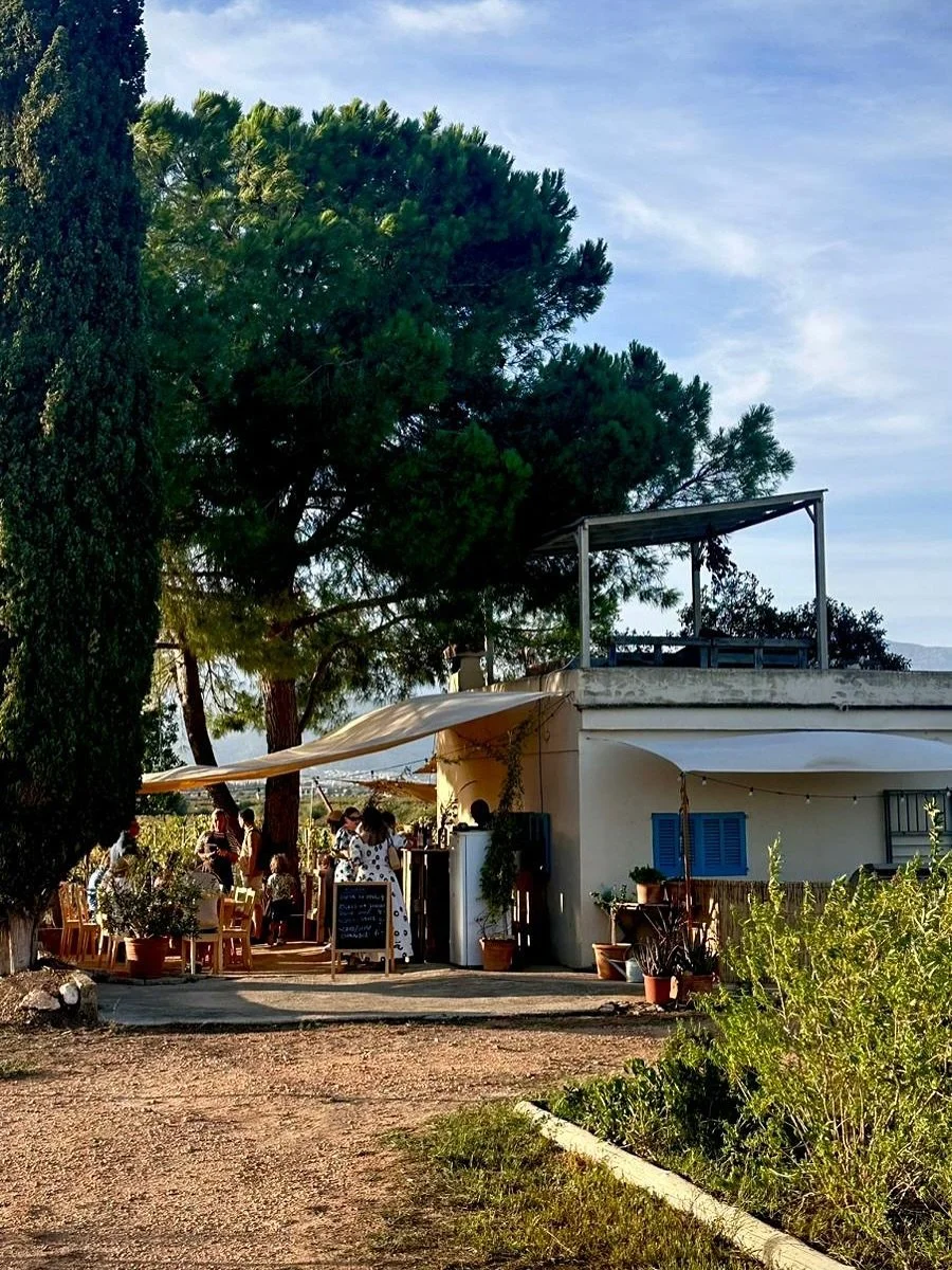 If you have visited us recently, we&rsquo;d love to hear what you thought. Your reviews help others discover our little corner of rural Mallorca, and they mean the world to us, too.

If you&rsquo;ve enjoyed your time here (or an Amarg&eacute;ro or tw