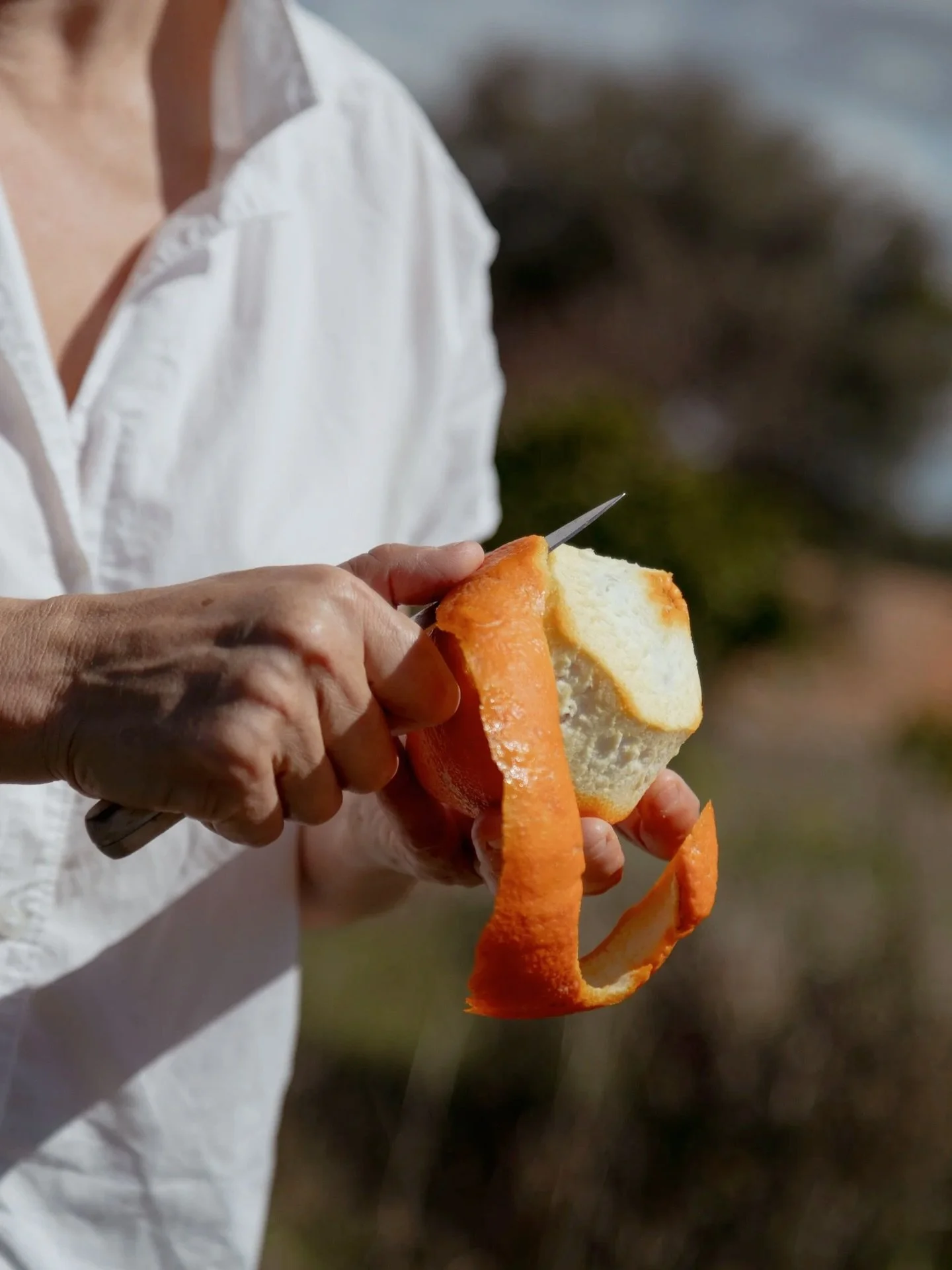 Orange season has arrived and the orchard is glowing again. It&rsquo;s the moment when everyone on the island remembers just how good a bitter orange can be in the kitchen and especially in an Amarg&eacute;ro spritz.

Sundays at the farm carry that f