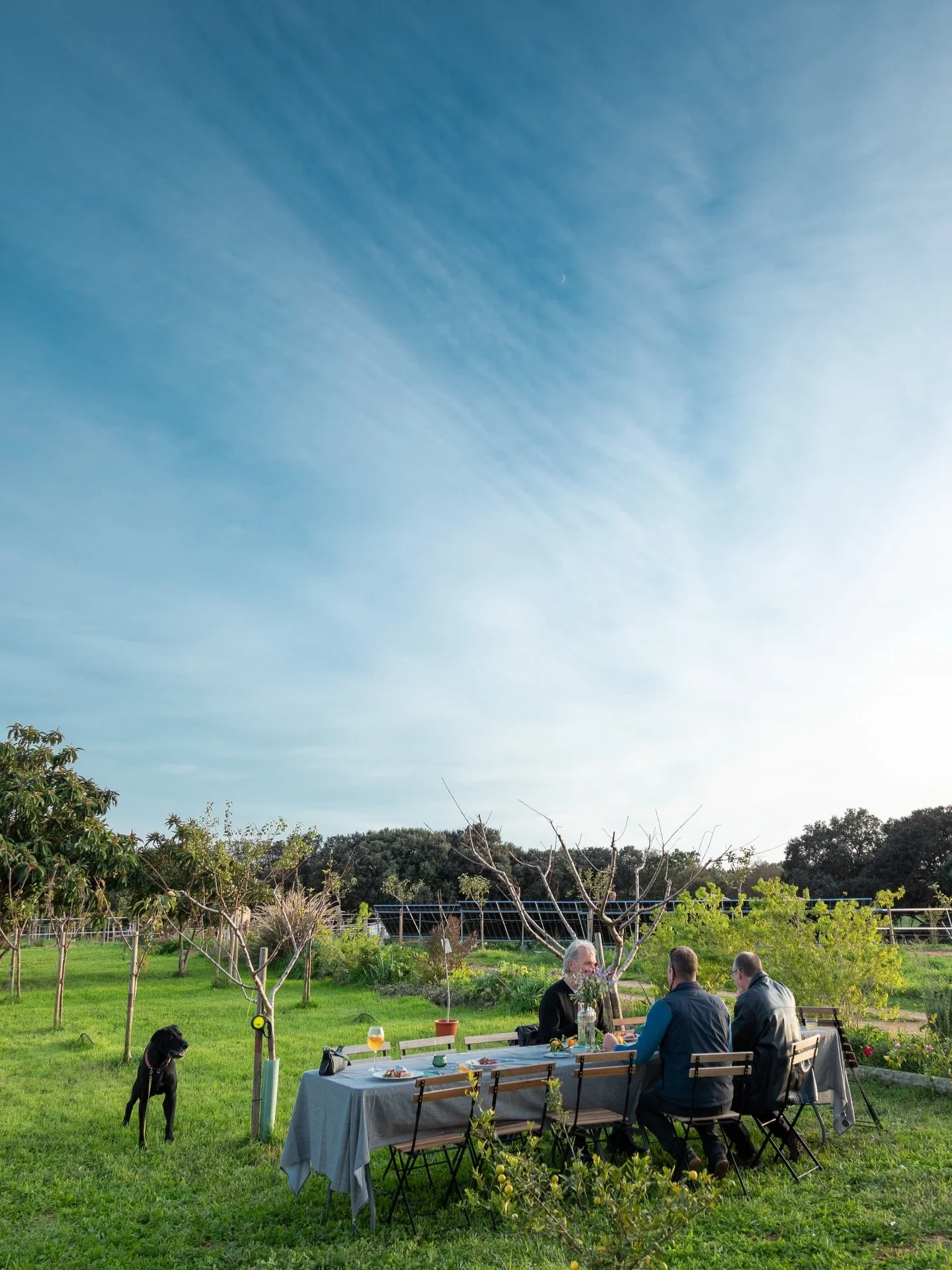 There&rsquo;s a particular kind of magic in this moment on the island - the shift from warm, golden afternoons to crisp evenings where the sky slips from blue to ember and the fire takes over.

This Sunday is one of the last Amarg&eacute;ro Hours of 