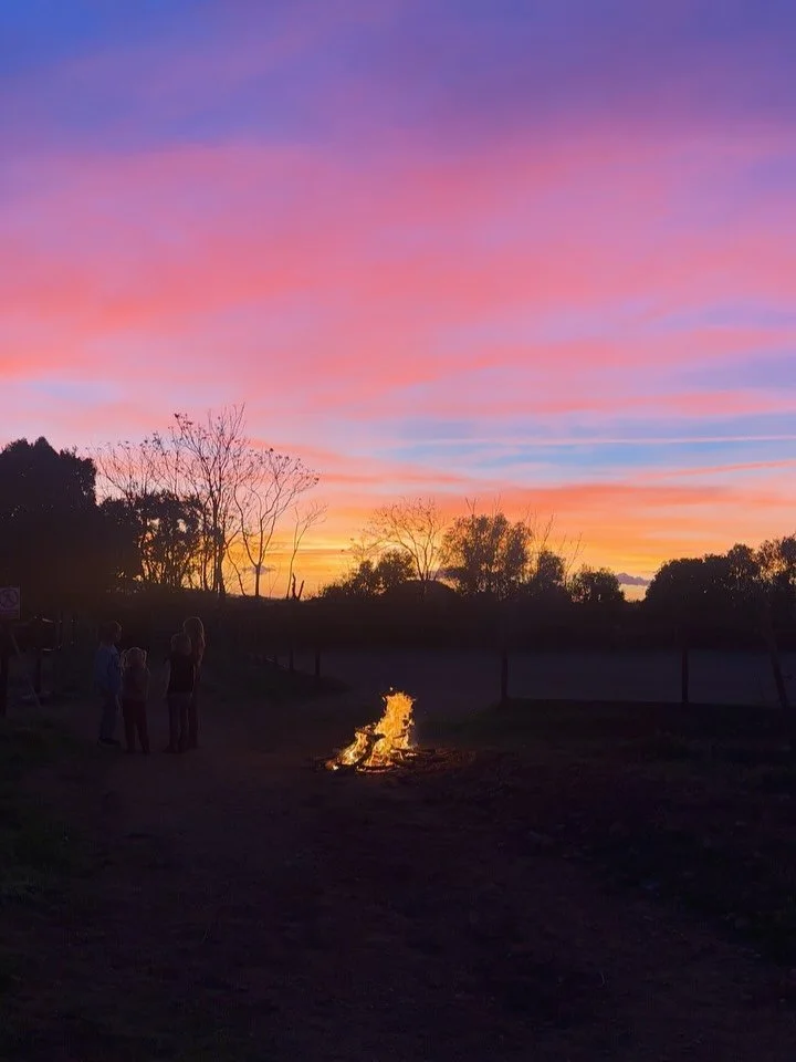 Join us this Sunday for a Christmas edition aperitif 🎄 

We open the gates from 3pm with polo on the field and Amarg&eacute;ro at the tasting bar. Our special Christmas Amarg&eacute;ro gift boxes will be ready to collect - an easy tick off the festi