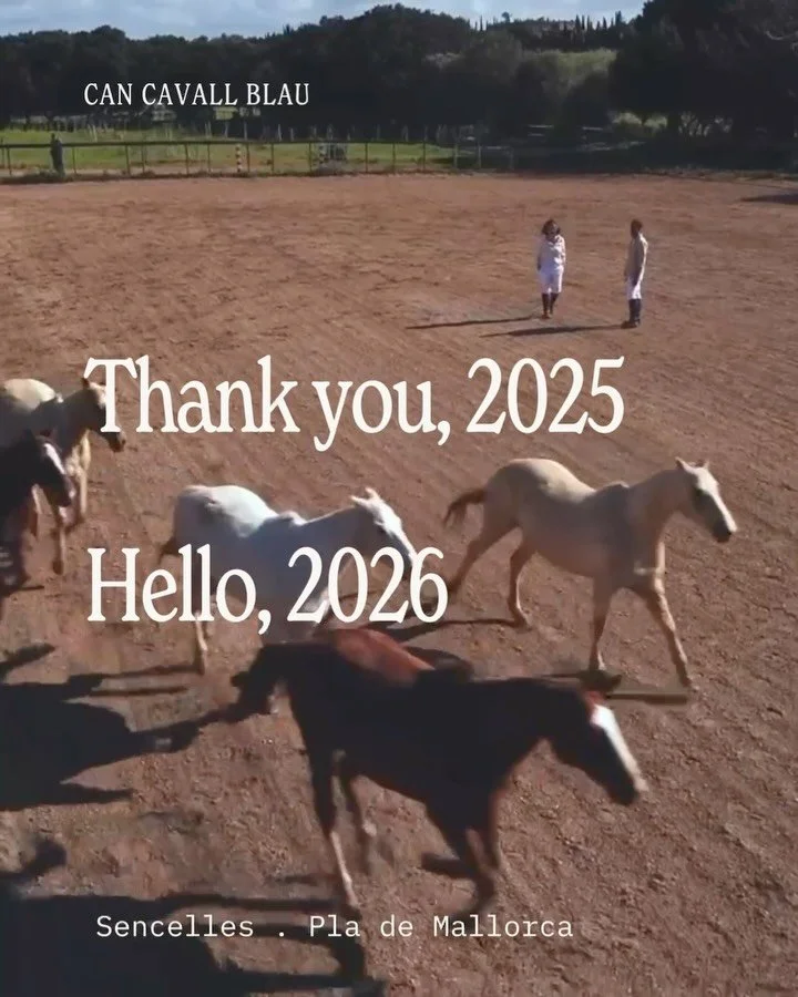 What a year it&rsquo;s been! Measured by harvests, chukkas and hours of aperitivo by the vines, in that last stretch of evening light. Sundays that quietly became a ritual.

Thank you for showing up. For the conversations, the glasses raised, the cur