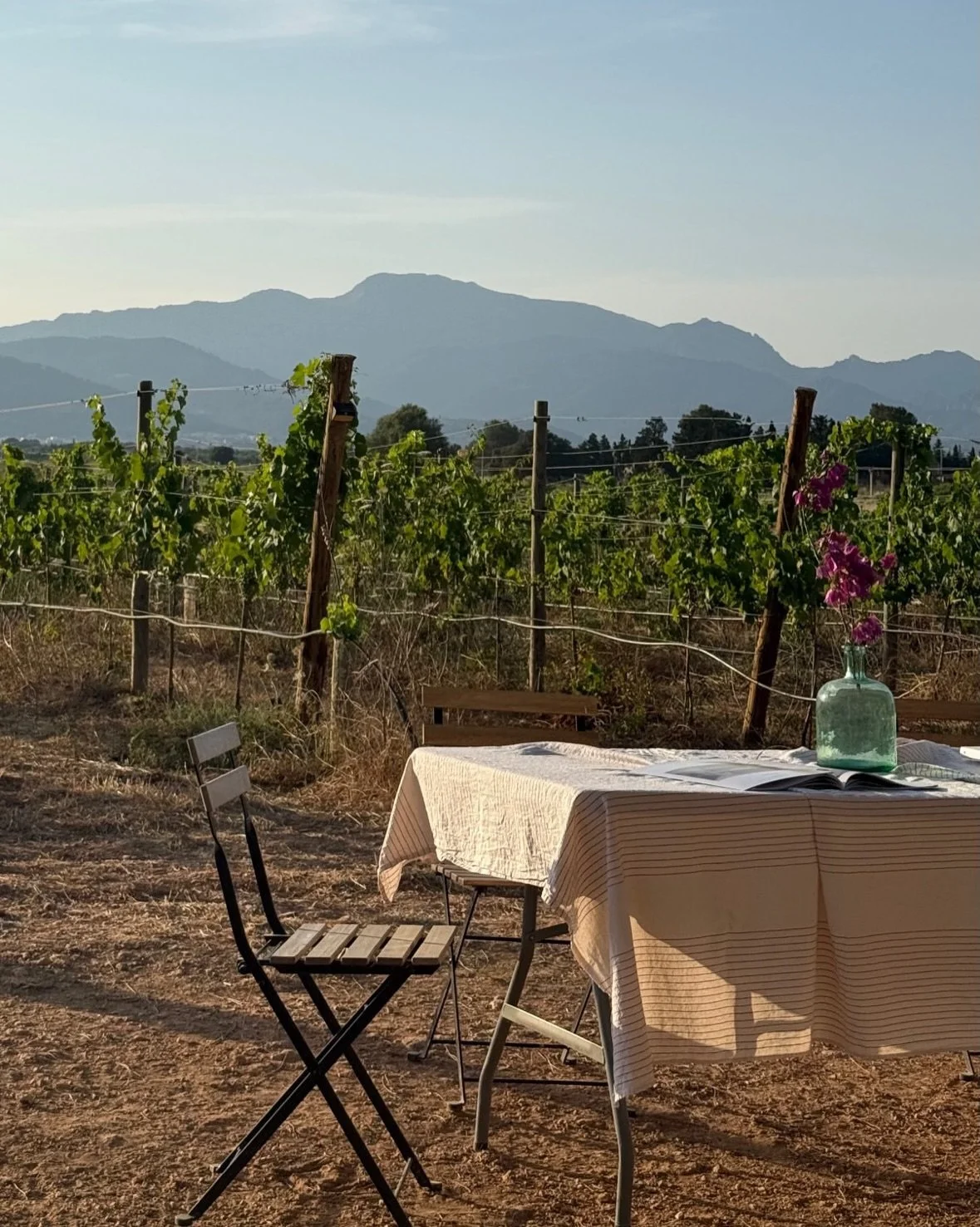 January and February are our quiet months. The gates are closed and the farm turns inward. 

Time to rest after a generous season, to tend to the land, to mend what needs mending and to prepare for the Amarg&eacute;ro harvest ahead.

Thank you for an