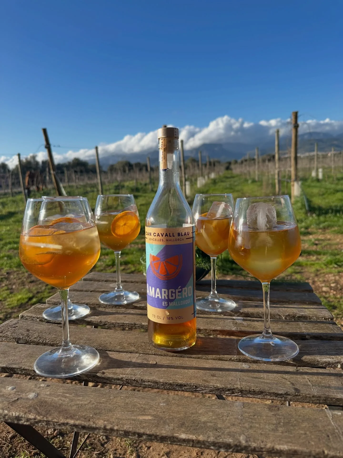 From spritzes in the winter sunshine to negronis by the fire and everything in between 🥃🍹🍸 Amarg&eacute;ro moves easily through the seasons, poured whenever the moment feels right 🍊