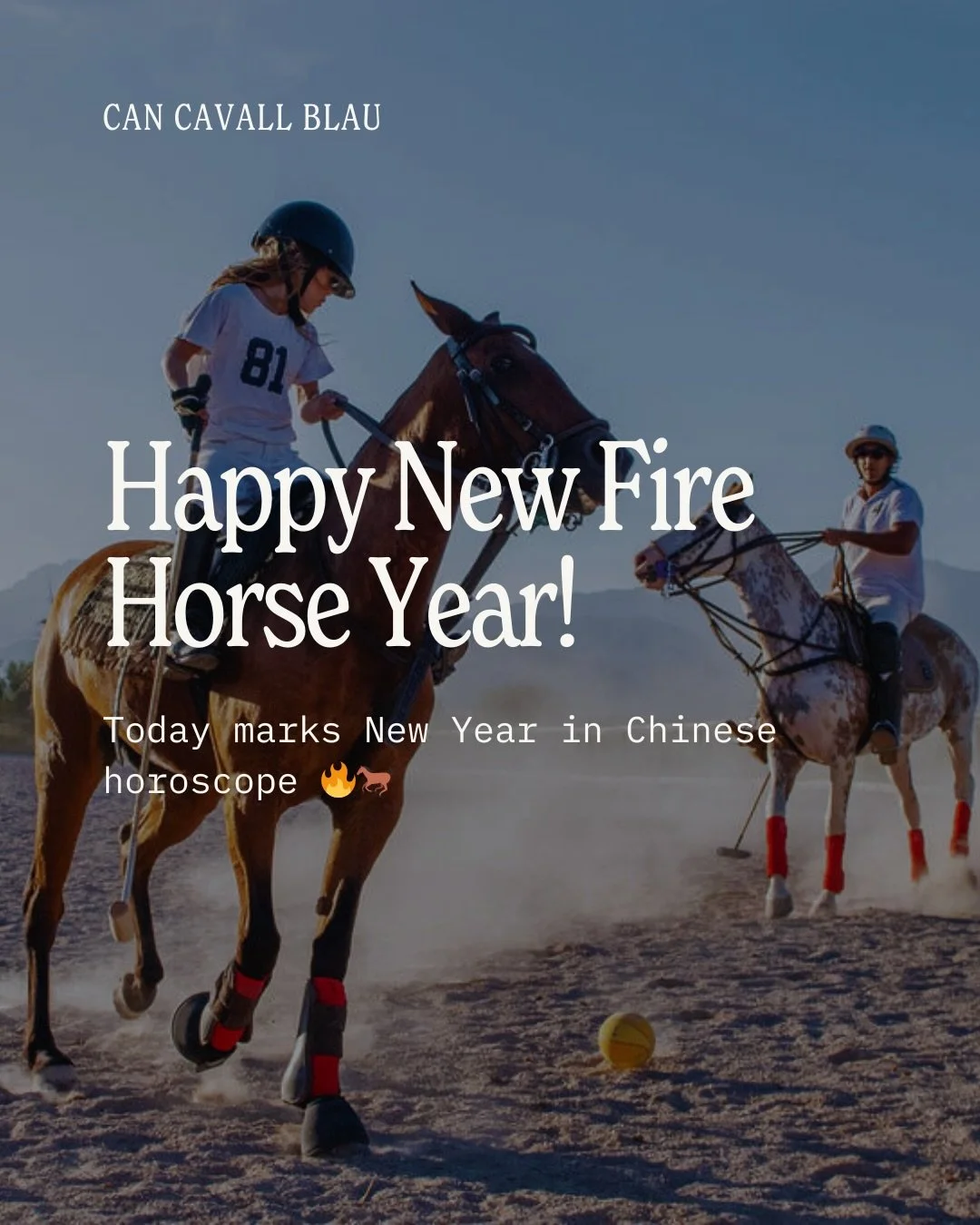 Fire Horse Year brings strong, fast-moving energy - and we&rsquo;re feeling it 🔥🐎

Behind the scenes, we&rsquo;ve been working tirelessly, making changes across the farm - from the stables to the orchard to the casita.

We&rsquo;re looking forward 