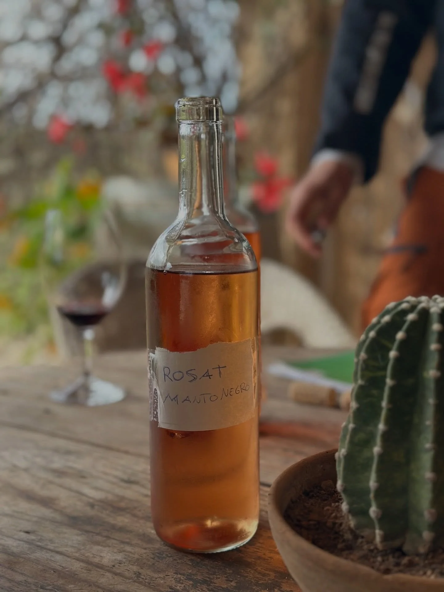 As Drac Rebel. 2025 vintage named after the farm rebels. Its first pour happens this Saturday at the tasting.

100% Manto Negro, hand-harvested from our vineyard in 15kg batches. Cold-settled, gently pressed, fermented with only the wild yeasts on th