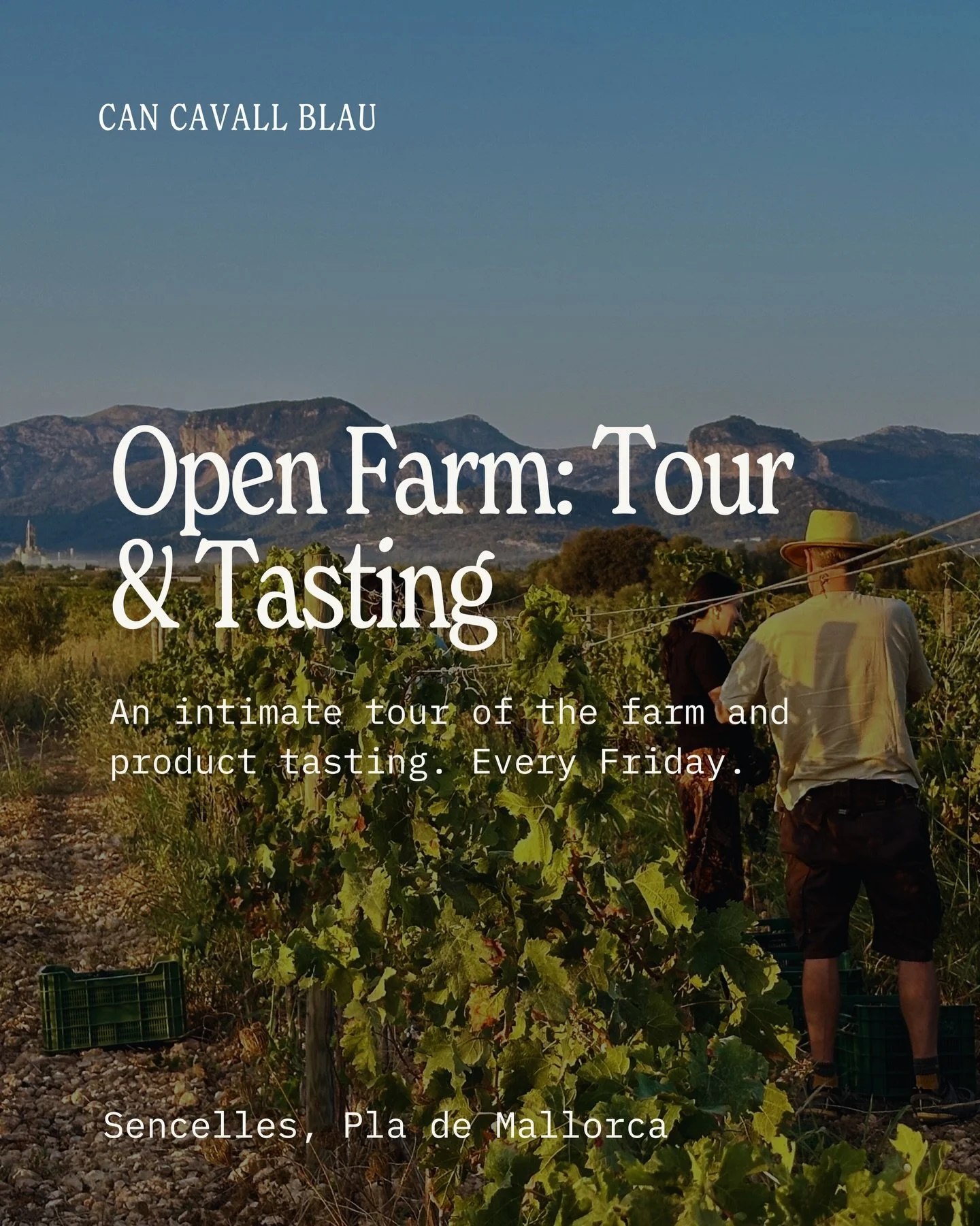 Every Friday our farm opens its gates for an intimate tour and tasting. 

Walk the land, meet the horses and see the regenerative practices that shape everything we grow and make here. It ends, as it should, at the table with the farm&rsquo;s own win