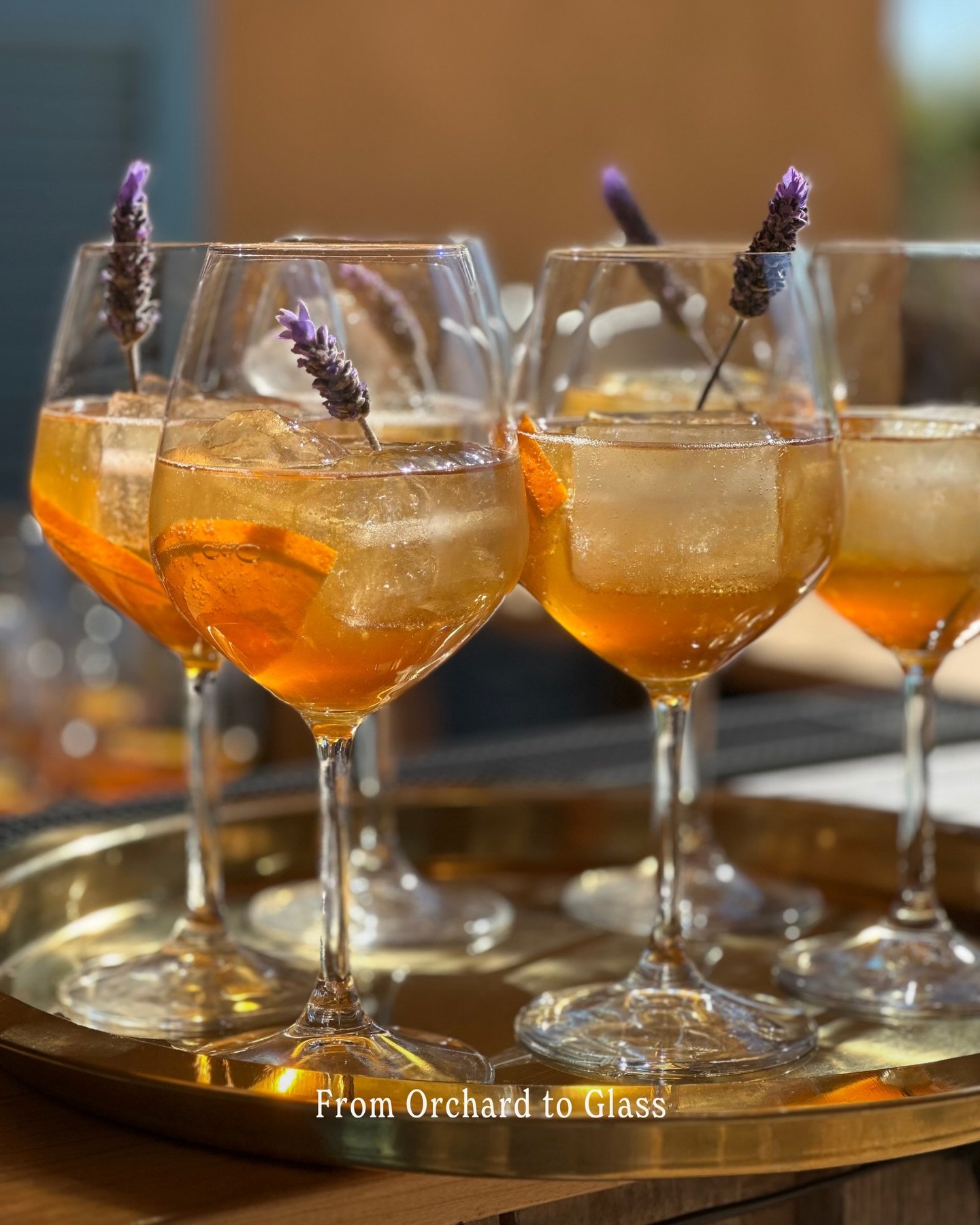 From orchard to glass 🍊

On Fridays and Sundays we open our gates to those who want to connect with the island&rsquo;s true spirit and meet like-minded folks along the way.

Sample our unique bitter orange aperitif, taste our wines, snack on our far