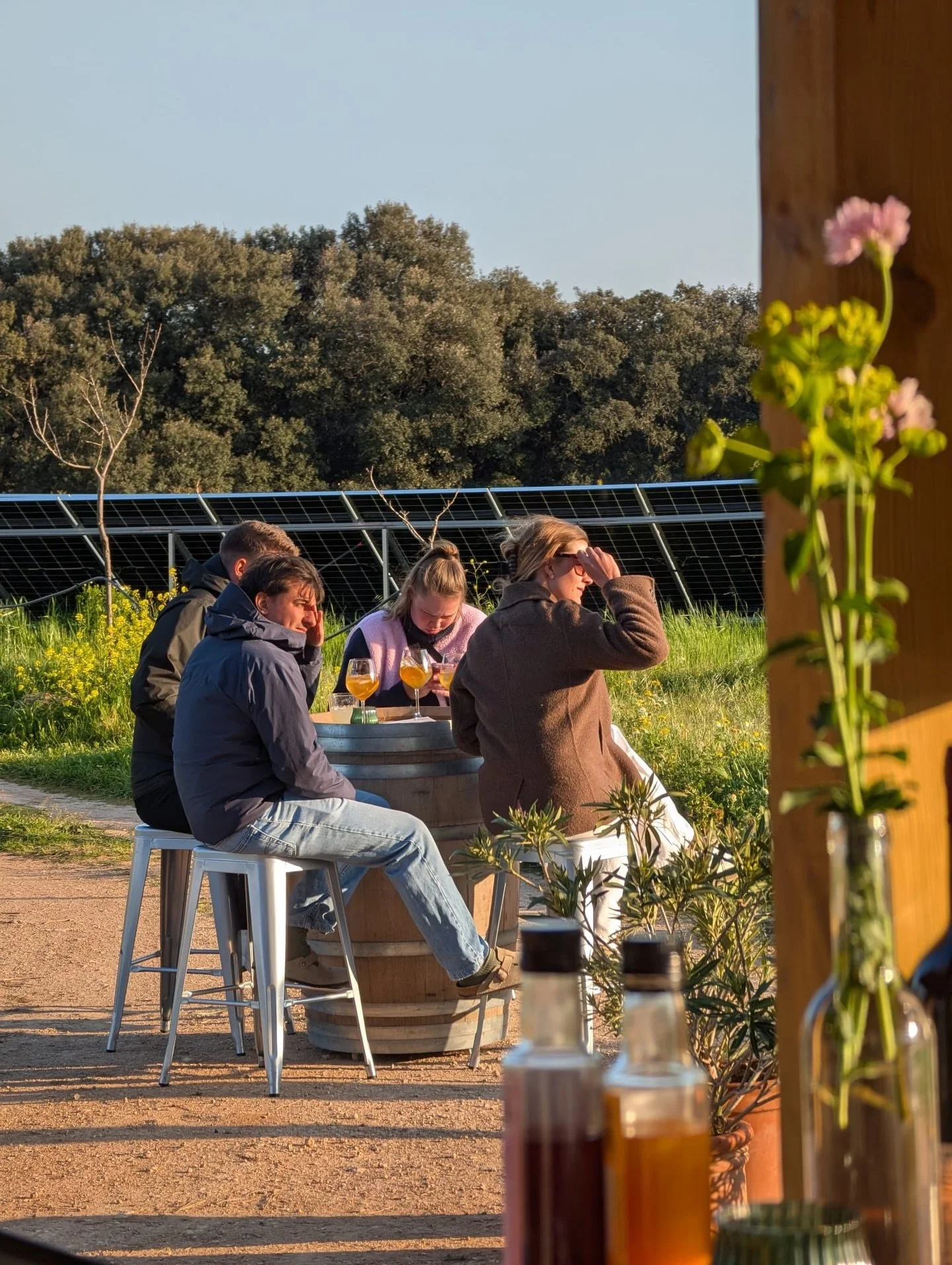 Every Sunday, we open the gates at the farm to welcome you 🍊

A relaxed aperitivo, centred around Amarg&eacute;ro - our bitter orange aperitif, made from fruit grown on the land and gathered each season.

The horses are out, there&rsquo;s usually a 