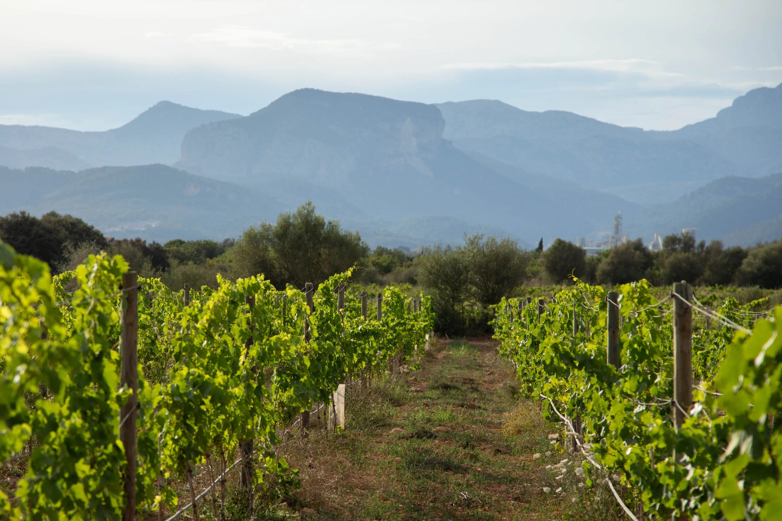 Open Farm: Tour &amp; Tasting