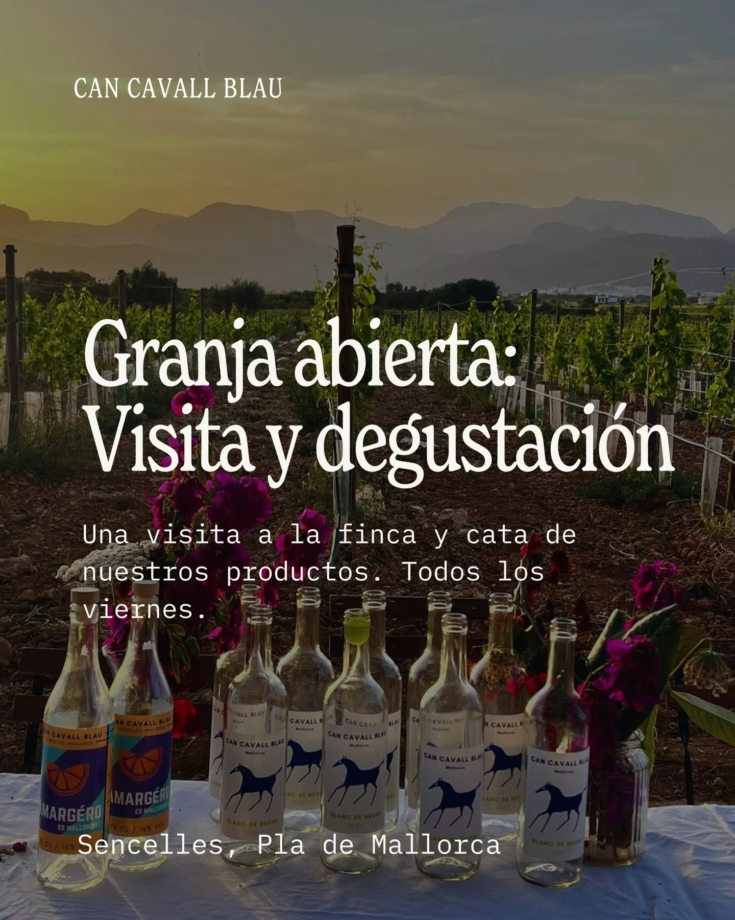 Todos los viernes abrimos las puertas de la finca para una visita &iacute;ntima y una cata.

Recorre la tierra, saluda a los caballos y conoce las pr&aacute;cticas regenerativas que dan forma a todo lo que cultivamos y elaboramos aqu&iacute;. Y termi