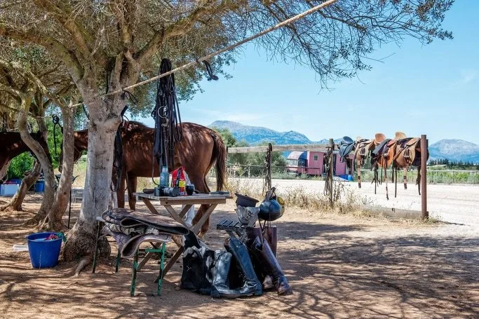 A window into a rural, working farm, open to those who want to have a more authentic connection to the island.

Our horses are bred and trained here in Mallorca, in natural groups with space to move and develop as they should. It&rsquo;s a long-term 
