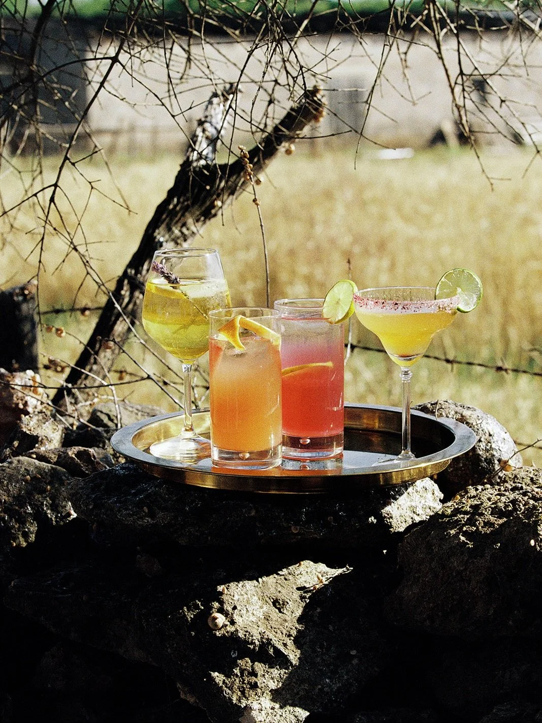 Apr&egrave;s playa, the inland way 🍊

Every Sunday we open the gates for Amarg&eacute;ro Hour, a relaxed aperitivo on the farm, between the mountains and the plains. A sip of our bitter orange aperitif whilst watching the sun going down.

Come as yo