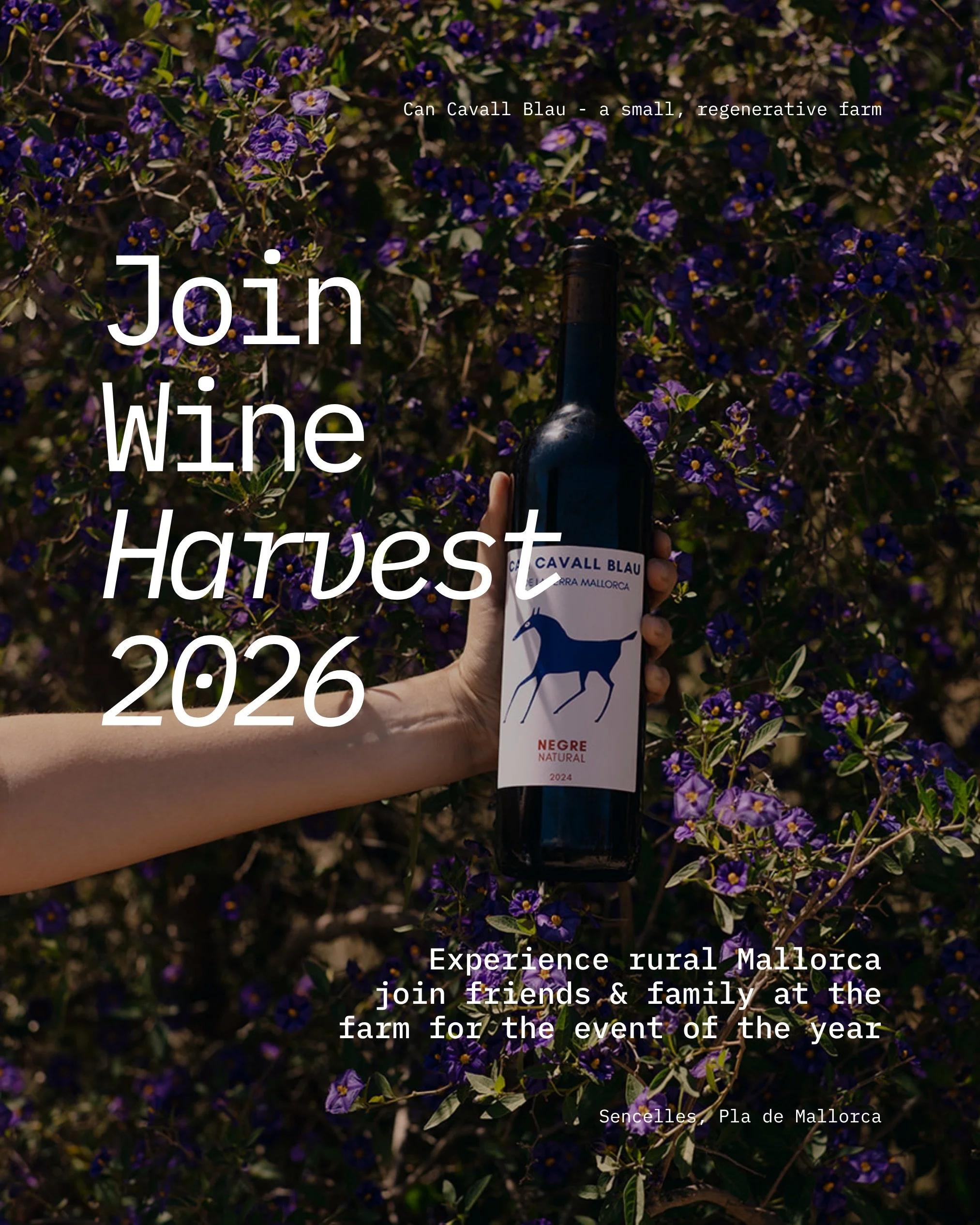 The grape harvest is here, and we&rsquo;d love you to be part of it. 🍇

Once a year the whole thing comes down to a handful of early mornings and a lot of willing hands. Friends, family, neighbours, the curious and the free-spirited, all of us out i