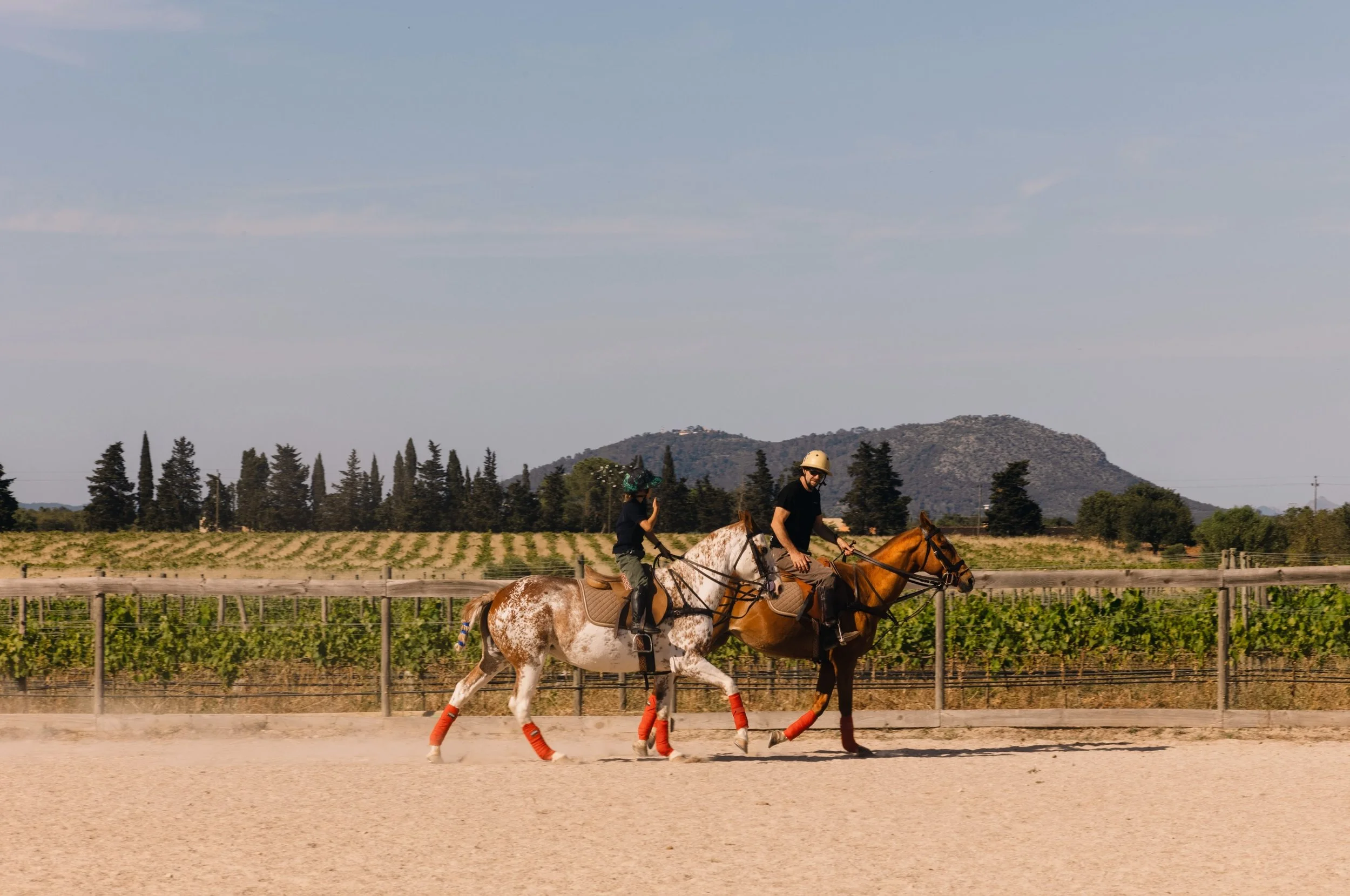 Amarg&eacute;ro Hour is back this Sunday, 6th September. 🍊

As the sun dips behind the mountains, we throw open our gates for the aperitivo ritual we love most - a glass of Amarg&eacute;ro and good company in our corner of rural Mallorca.

Come as a