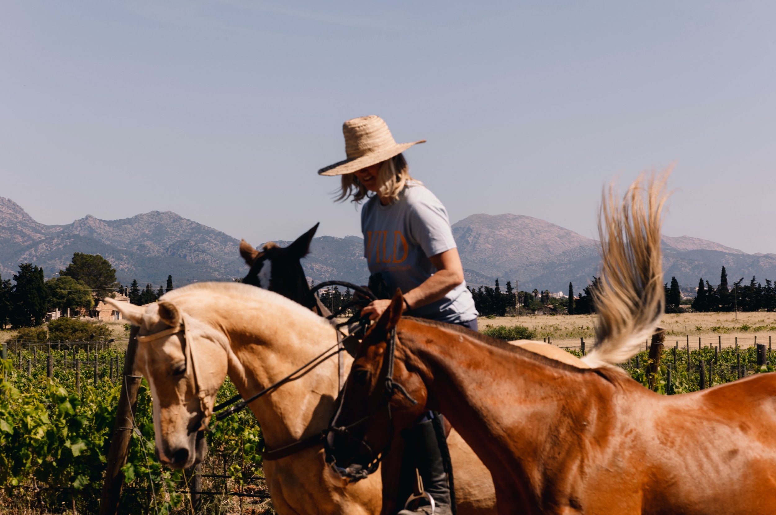 Your Window Into Rural Life in Mallorca. Wild, Serene &amp; Off The Beaten Track.