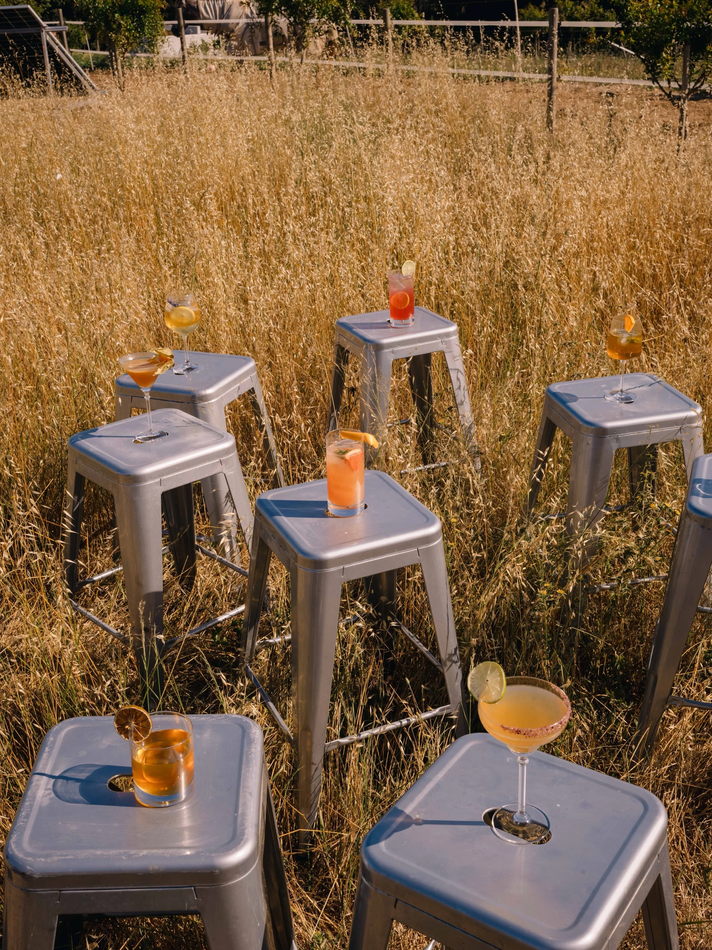 Join us on the farm for a slower, more honest taste of Mallorca. We&rsquo;ll walk you through the orchards where our bitter oranges grow, introduce you to the horses who help us farm the land, and share the story of how a February harvest becomes Ama